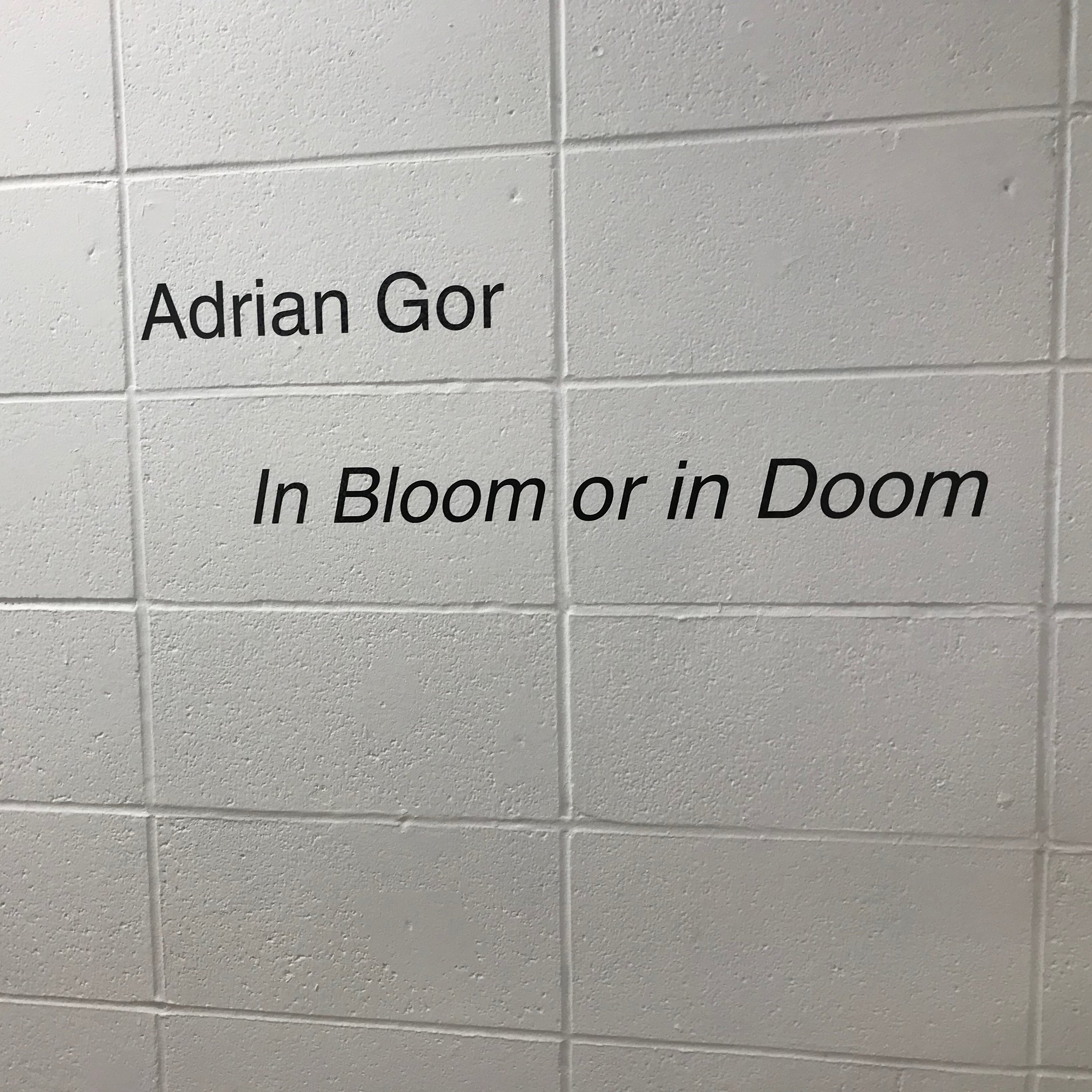 01.jpeg