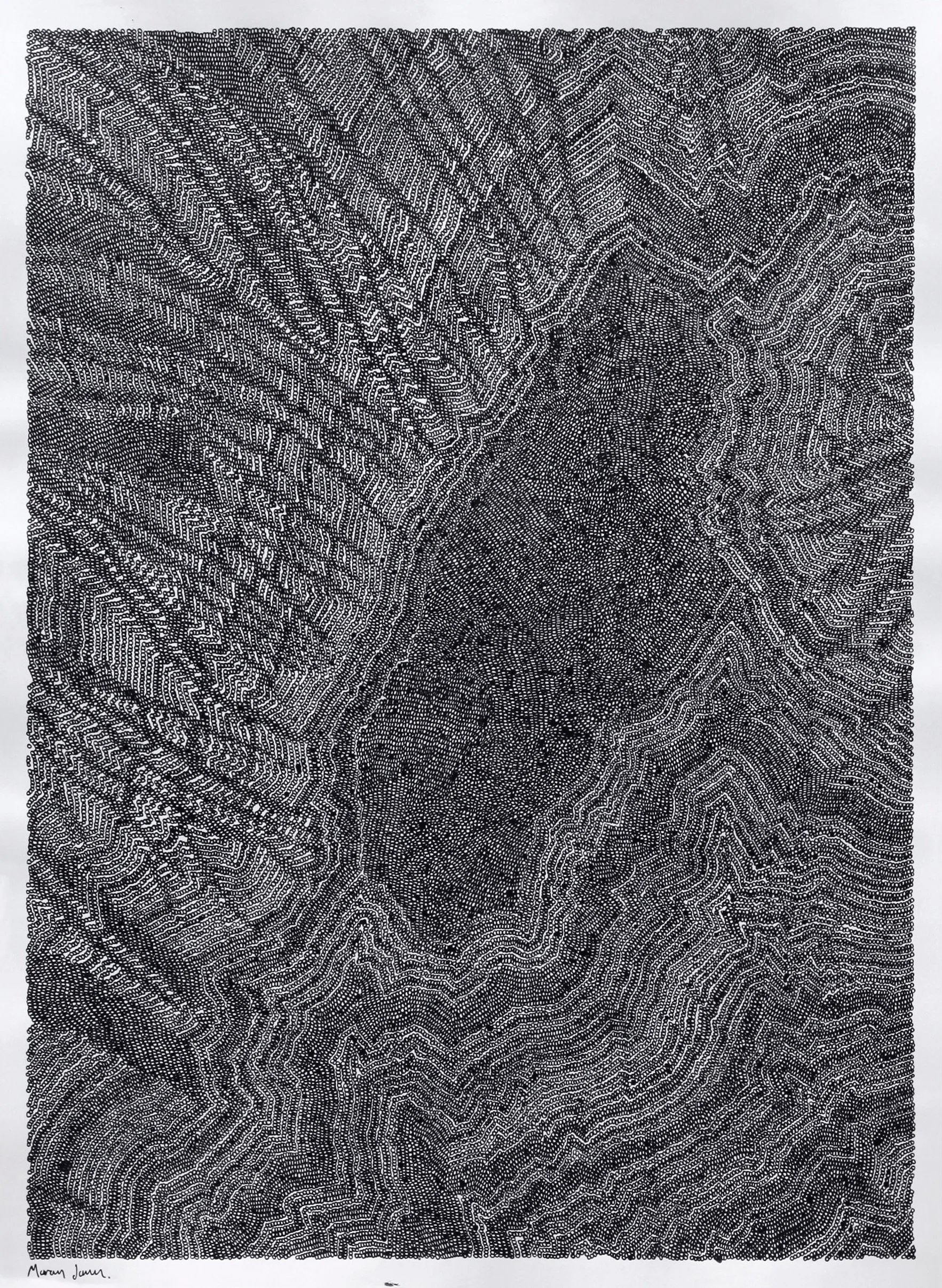 Larsen separation I 2019, ink on paper, 838mm x 1143mm The reference for these drawings comes from readily available Satellite imagery. I draw one single line that most expresses the lie of the land and that is the only time that I reference the image. From then on the drawing grows organically and can often bear little resemblance to the original. In both the drawings and the original images it is difficult to tell whether it is on a macro or micro scale. As of 2017 Larsen C is the largest Ice shelf in Antarctica. These drawings are abstract visual descriptions of its journey though separation.