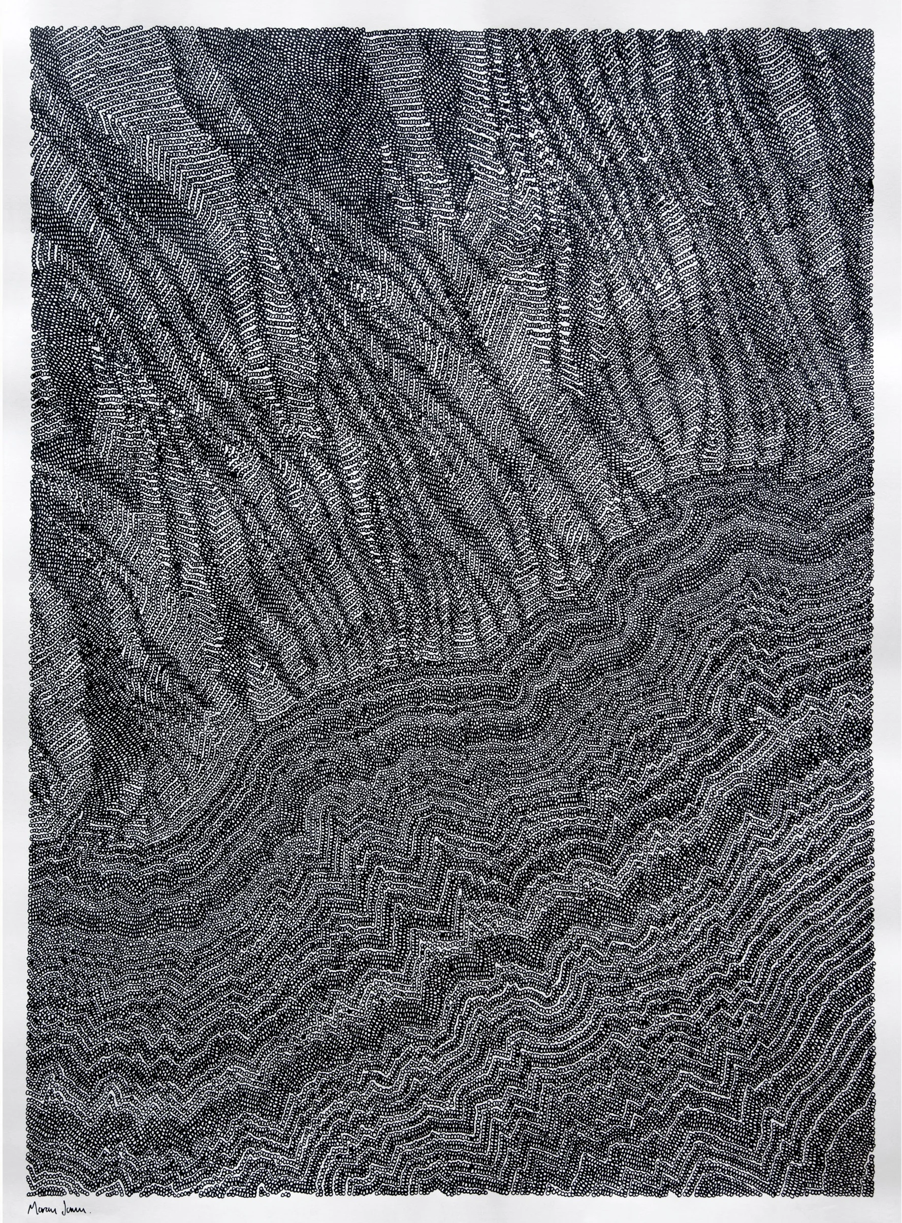 Larsen separation II 2019, ink on paper, 838mm x 1143mm