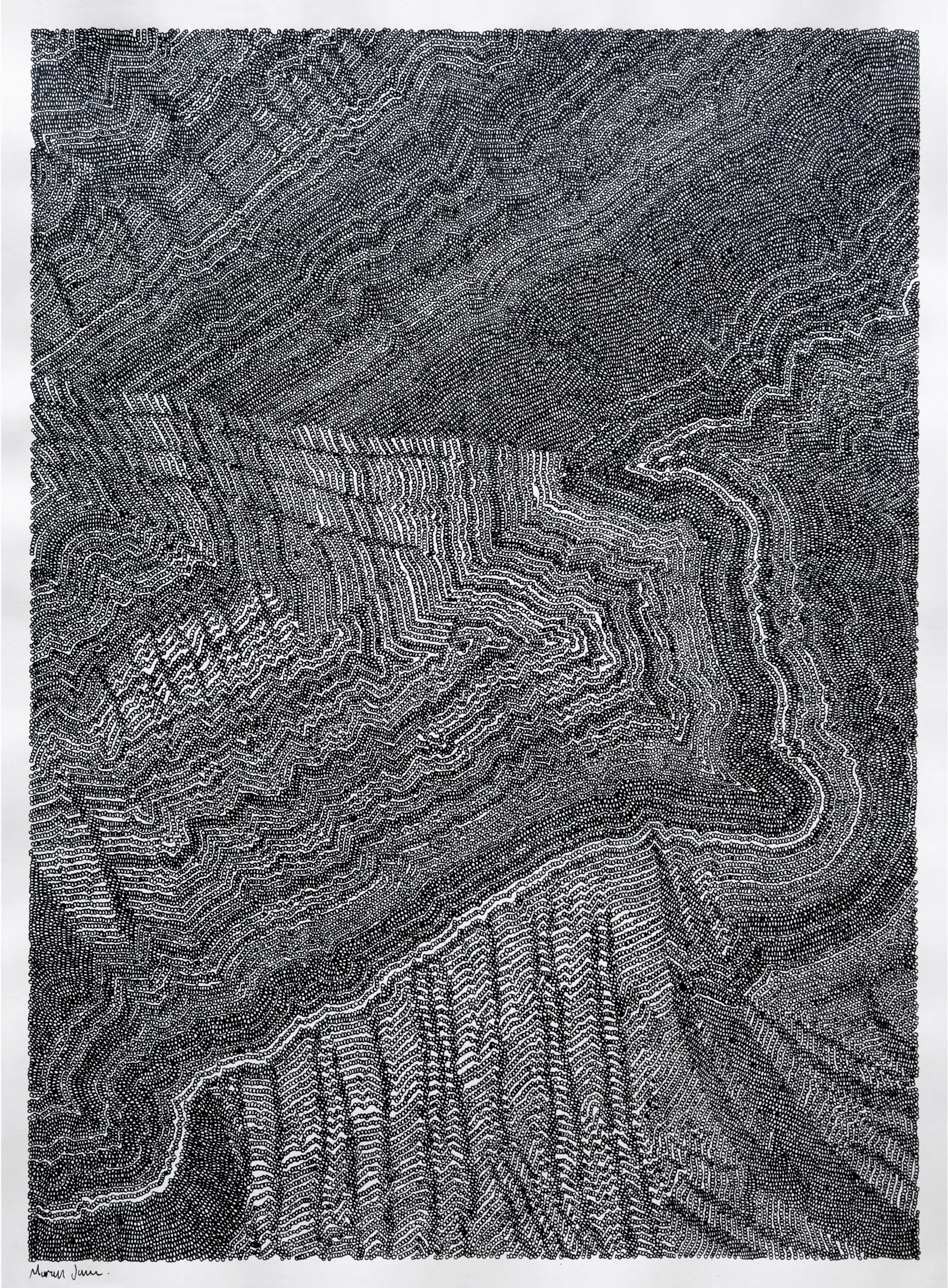 Larsen separation III 2019, ink on paper, 838mm x 1143mm