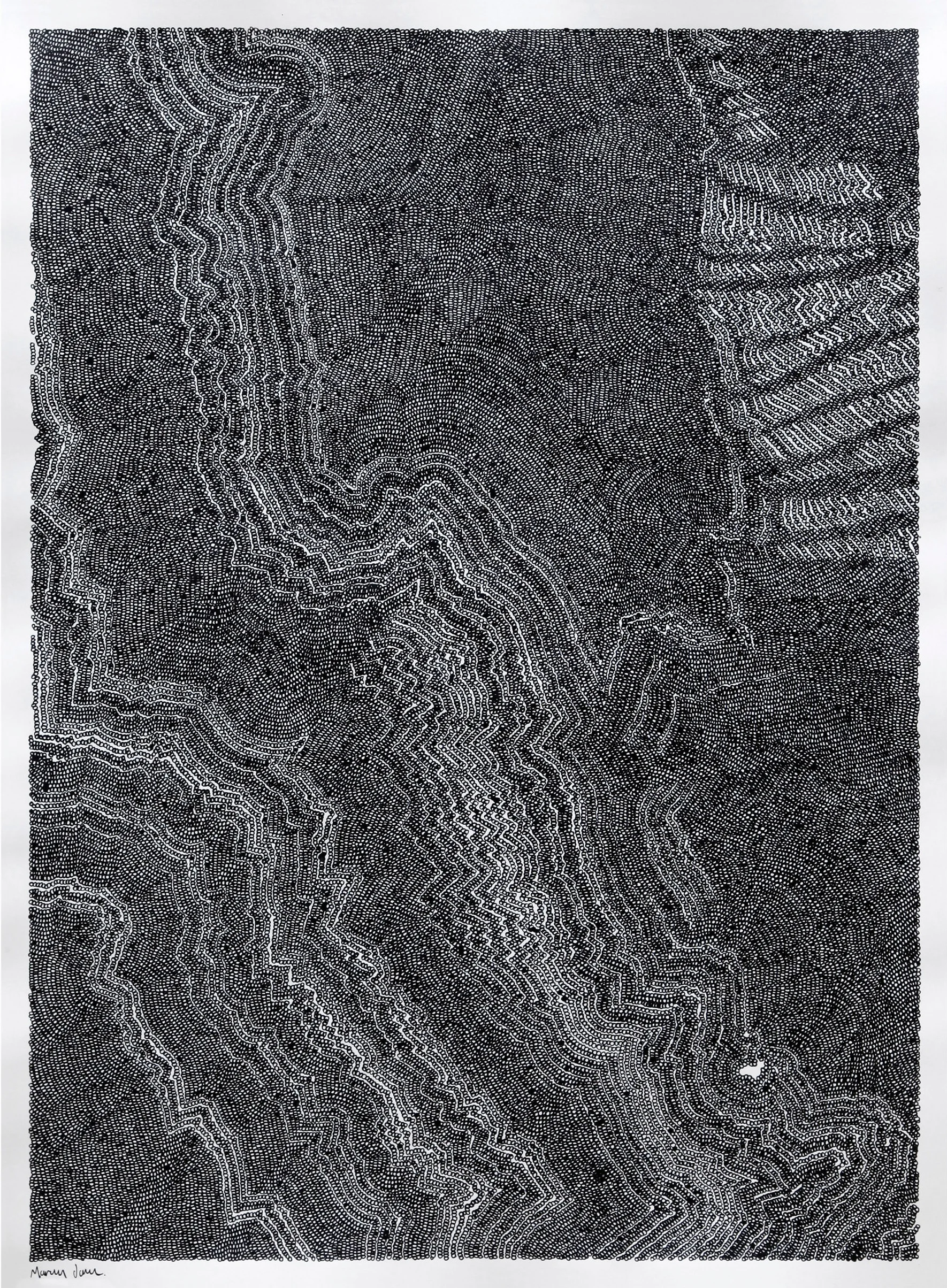 Larsen separation V 2019, ink on paper, 838mm x 1143mm