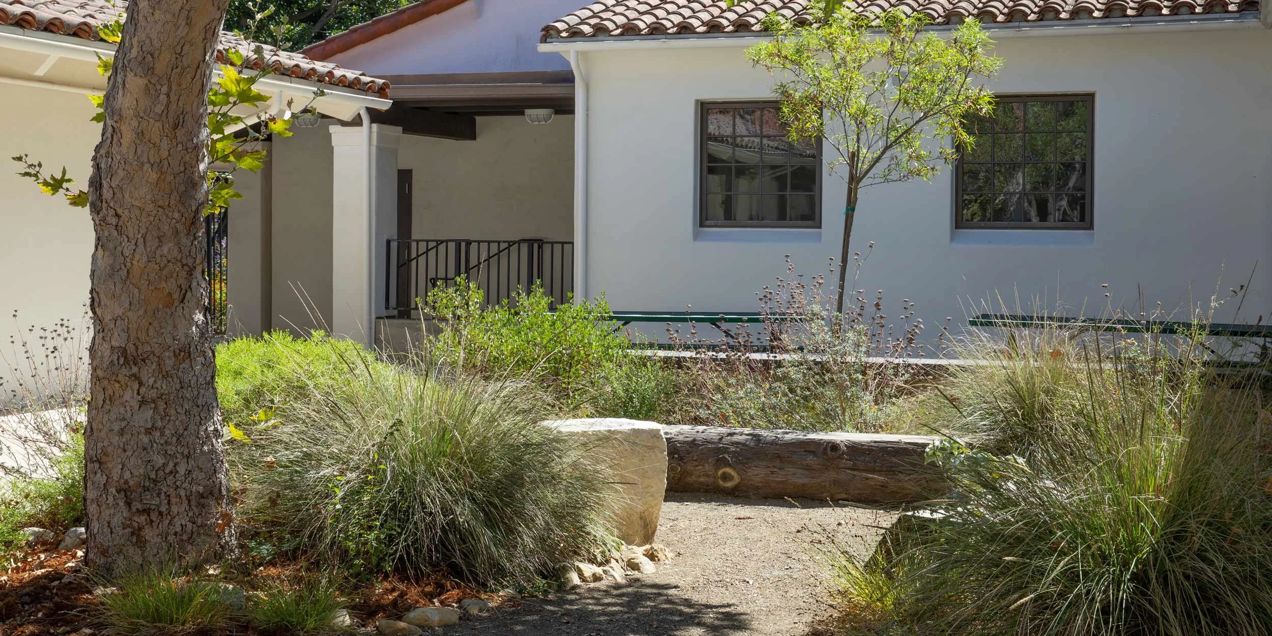 Cold Springs School Native Garden