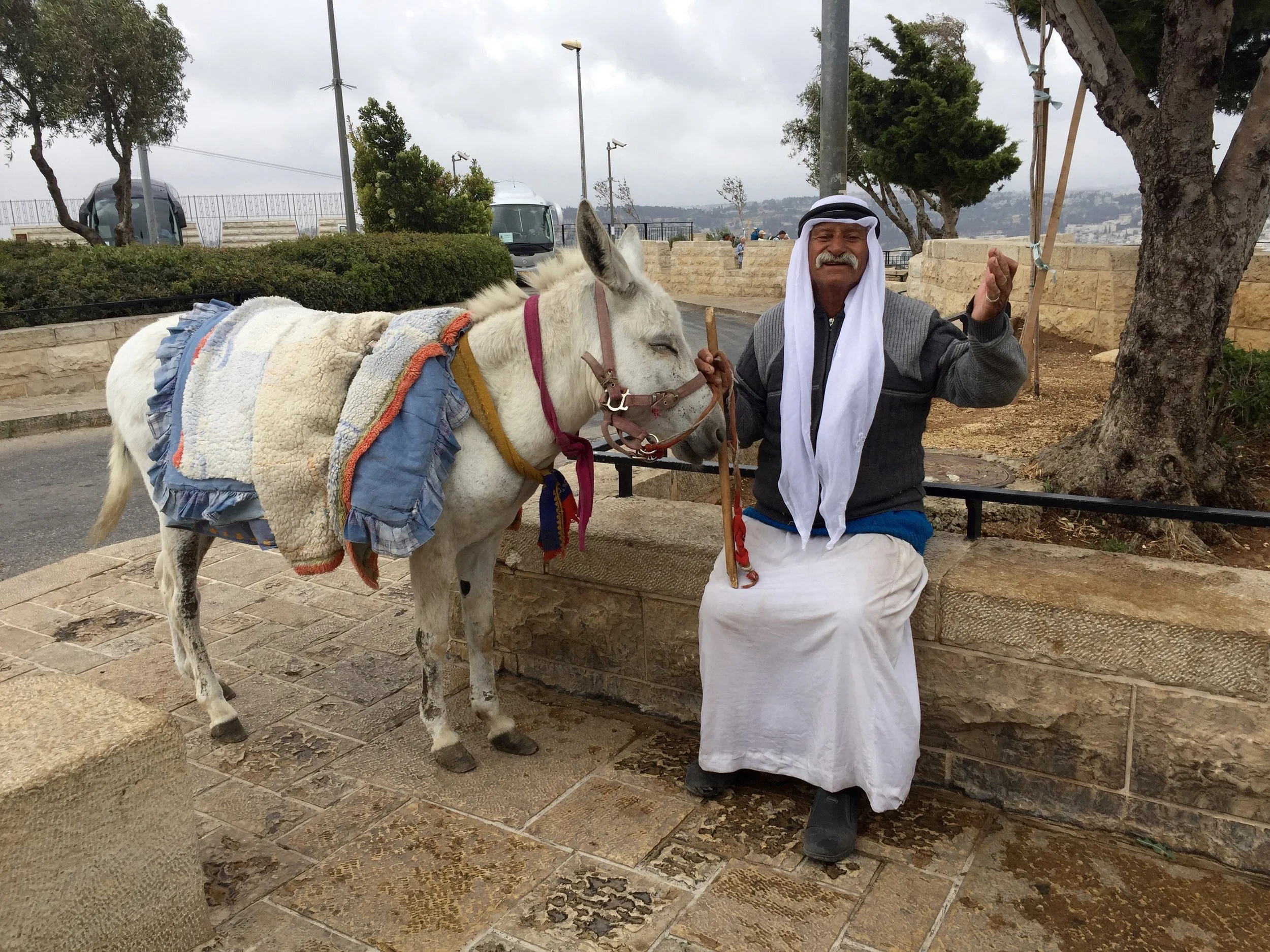 Jesus’s Donkey Collided With Our Law