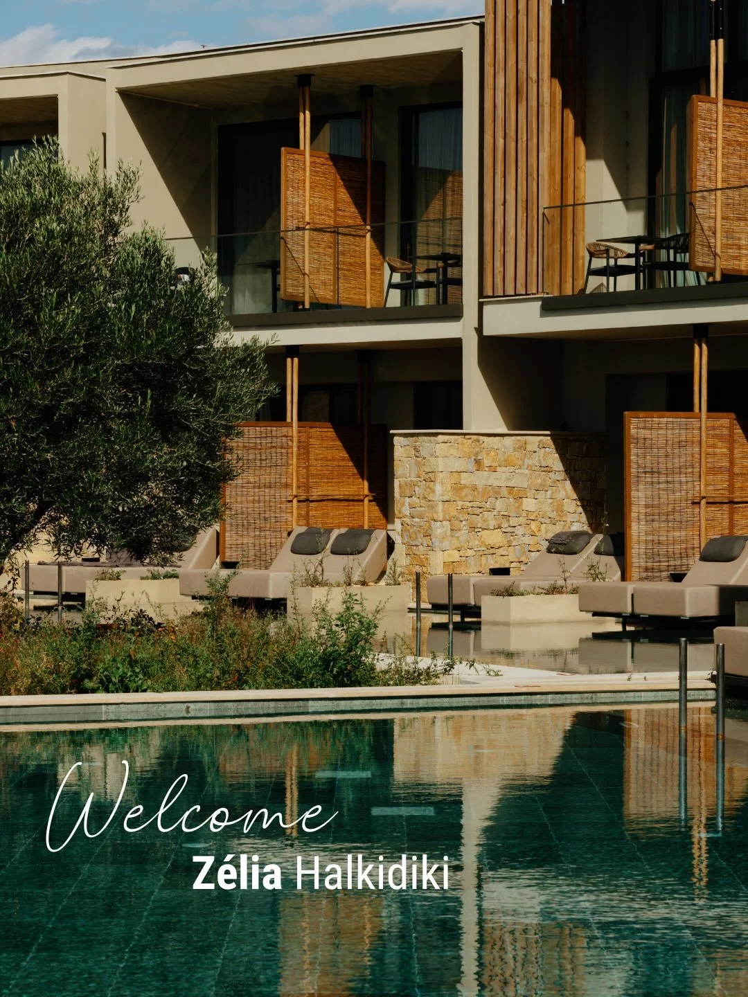 Welcome to the Grit Fam @zeliahalkidiki 🧡

We are lucky enough to be helping the team at Zelia look good on the grid. And when a place looks this delicious already, it certainly makes it a whole lot easier. 

Well done to @chels_hann_ for working he