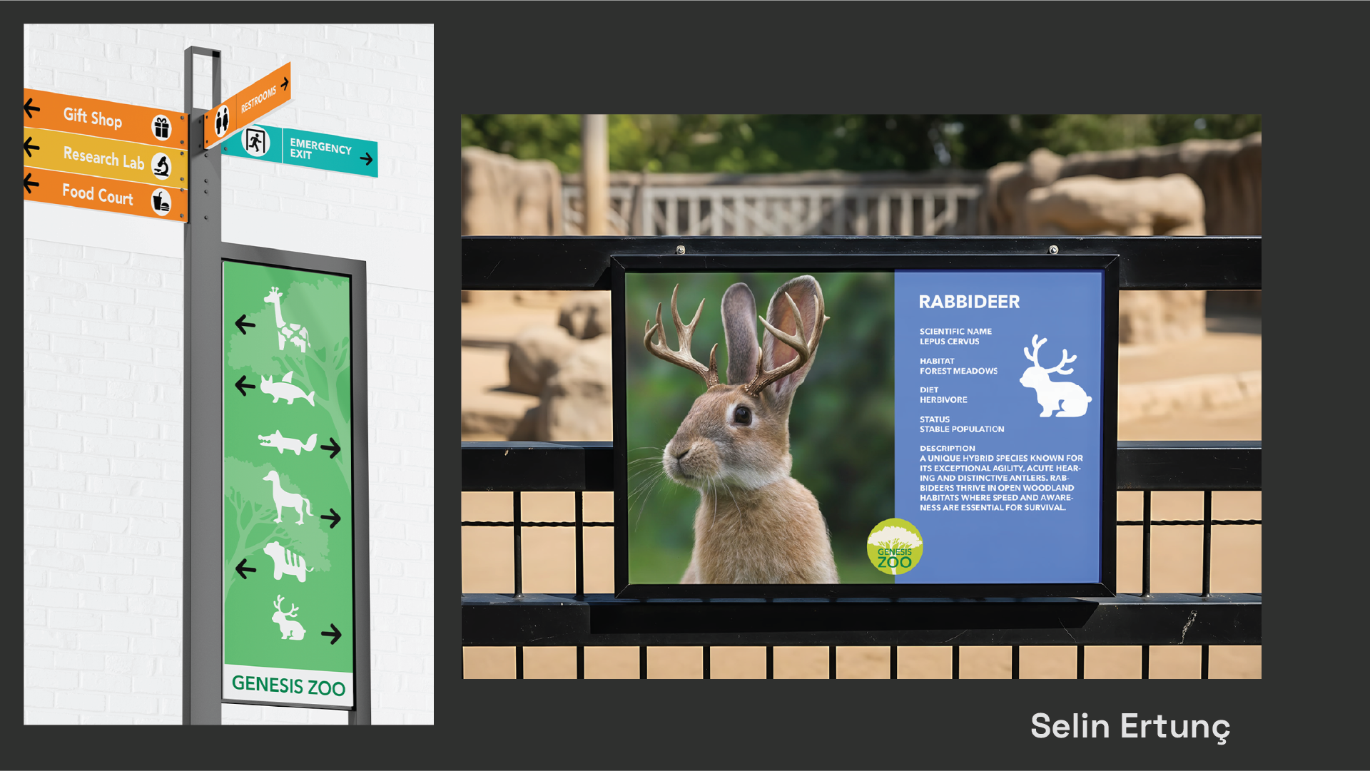 InformationDesign_047.png