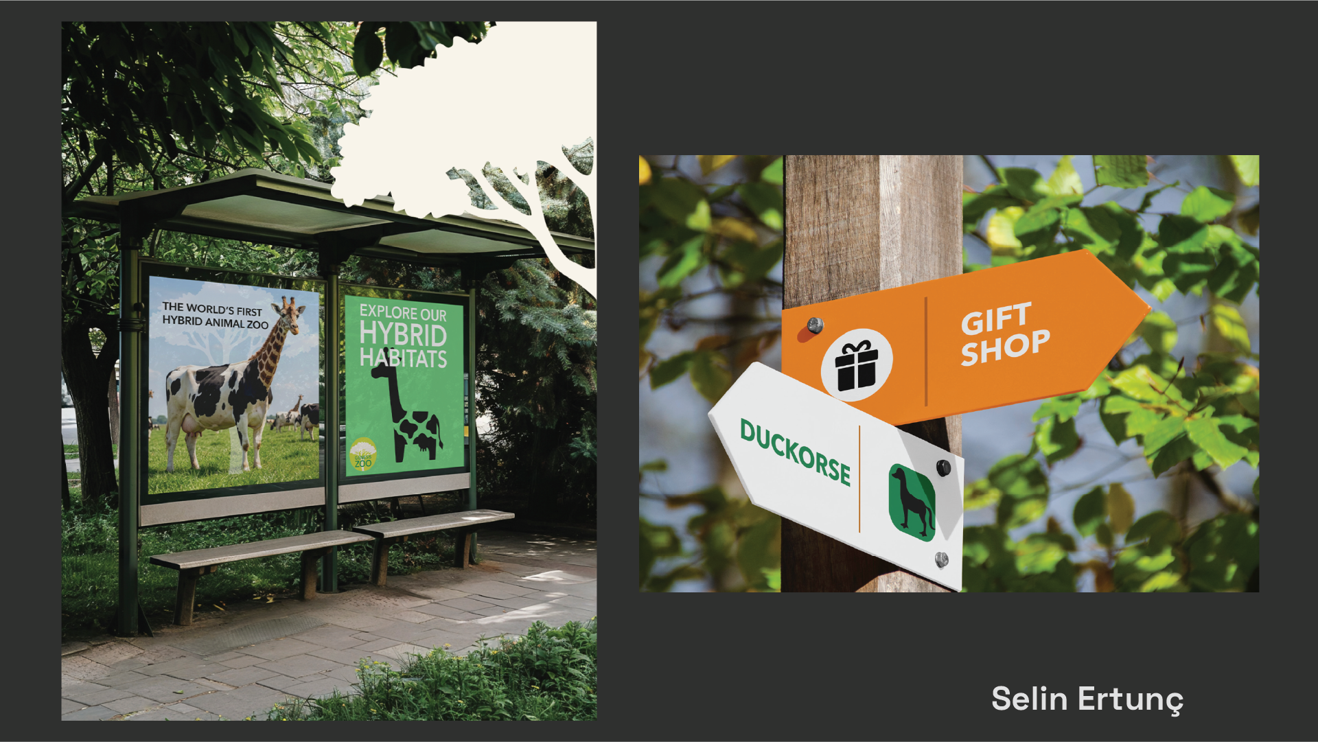 InformationDesign_049.png