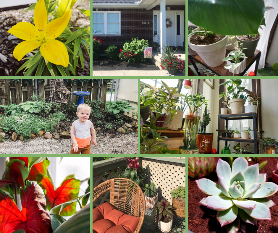 Green Thumbs