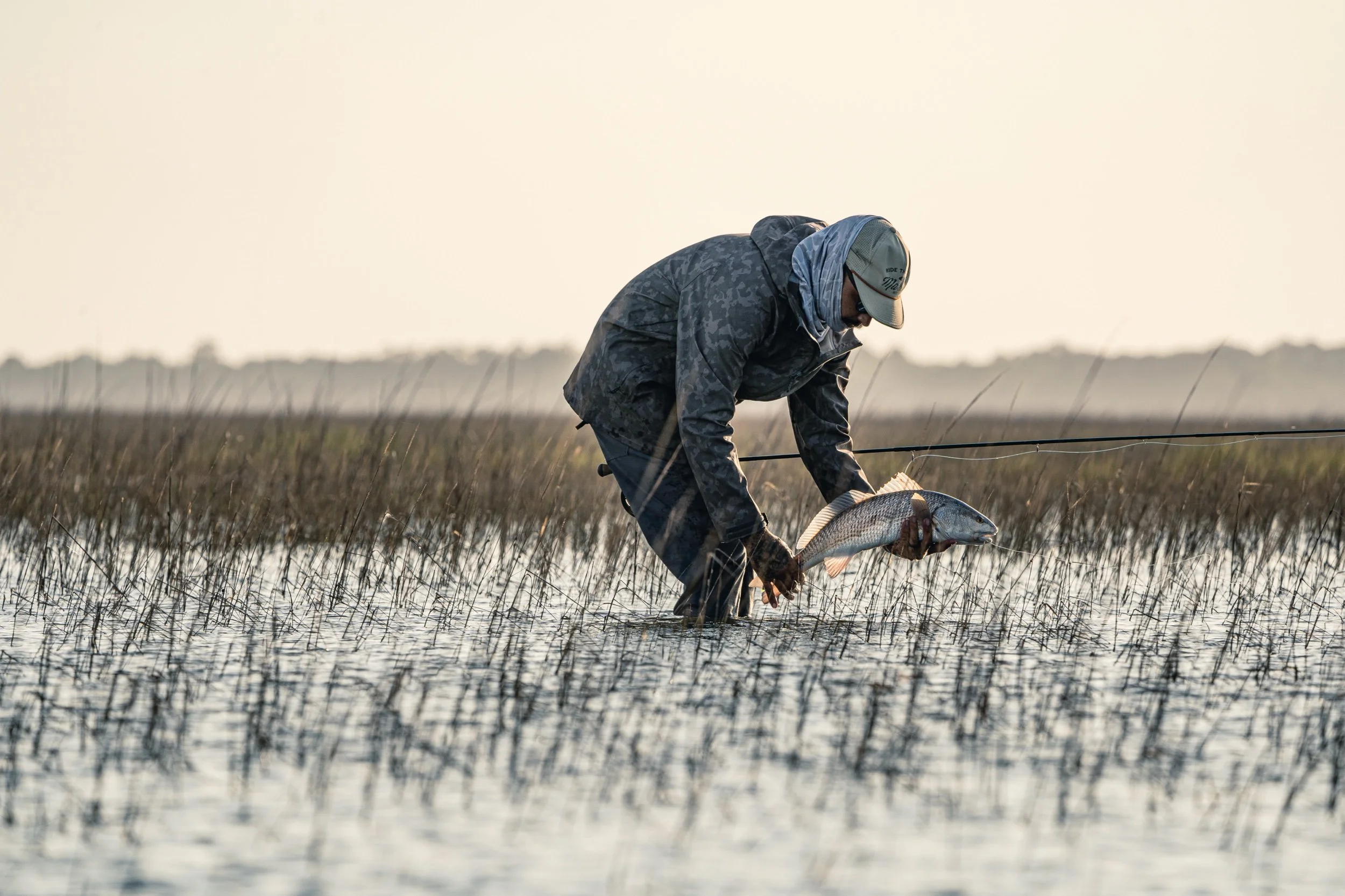 What’s Going On with the Red Fish Addendum?