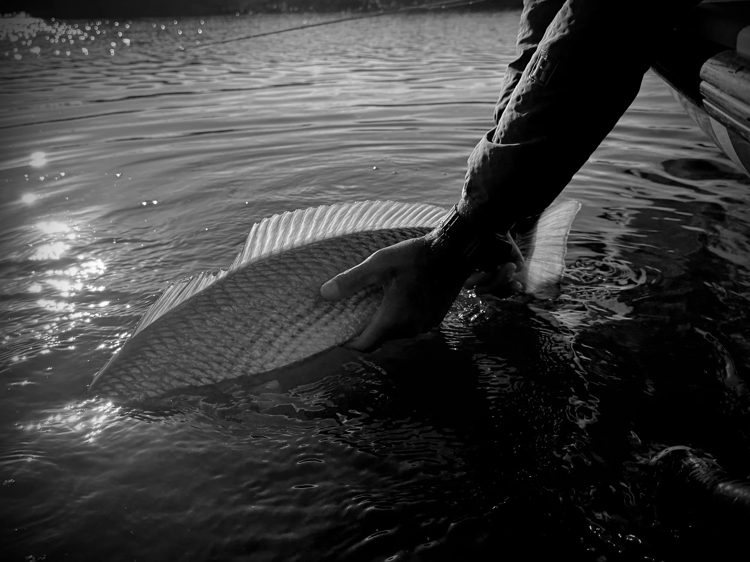 The Origins of Fly Fishing Around Charleston — and the Early Guides Who Made It Their Life