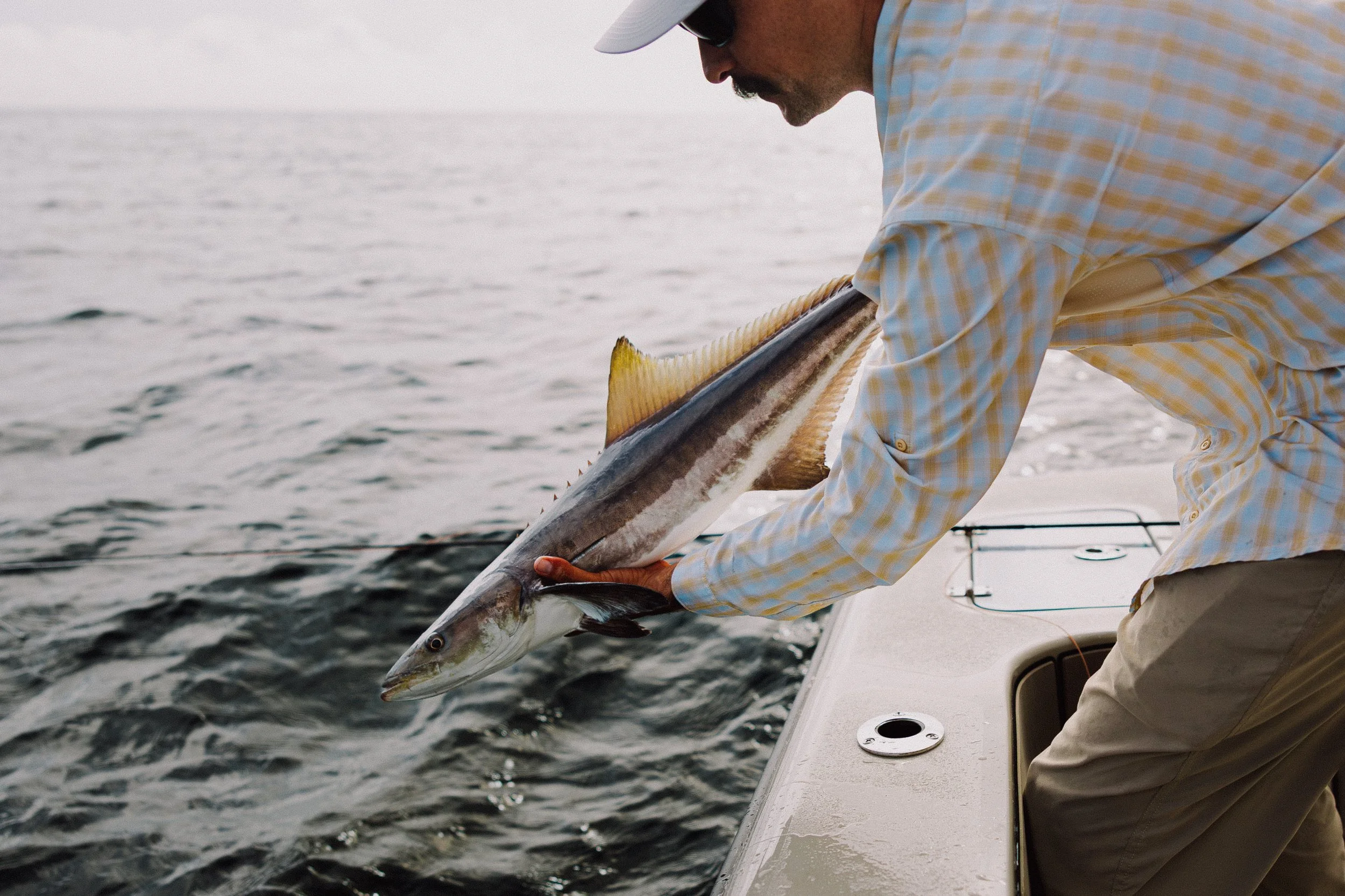 Fly Fishing for Nearshore Cobia in Charleston, South Carolina