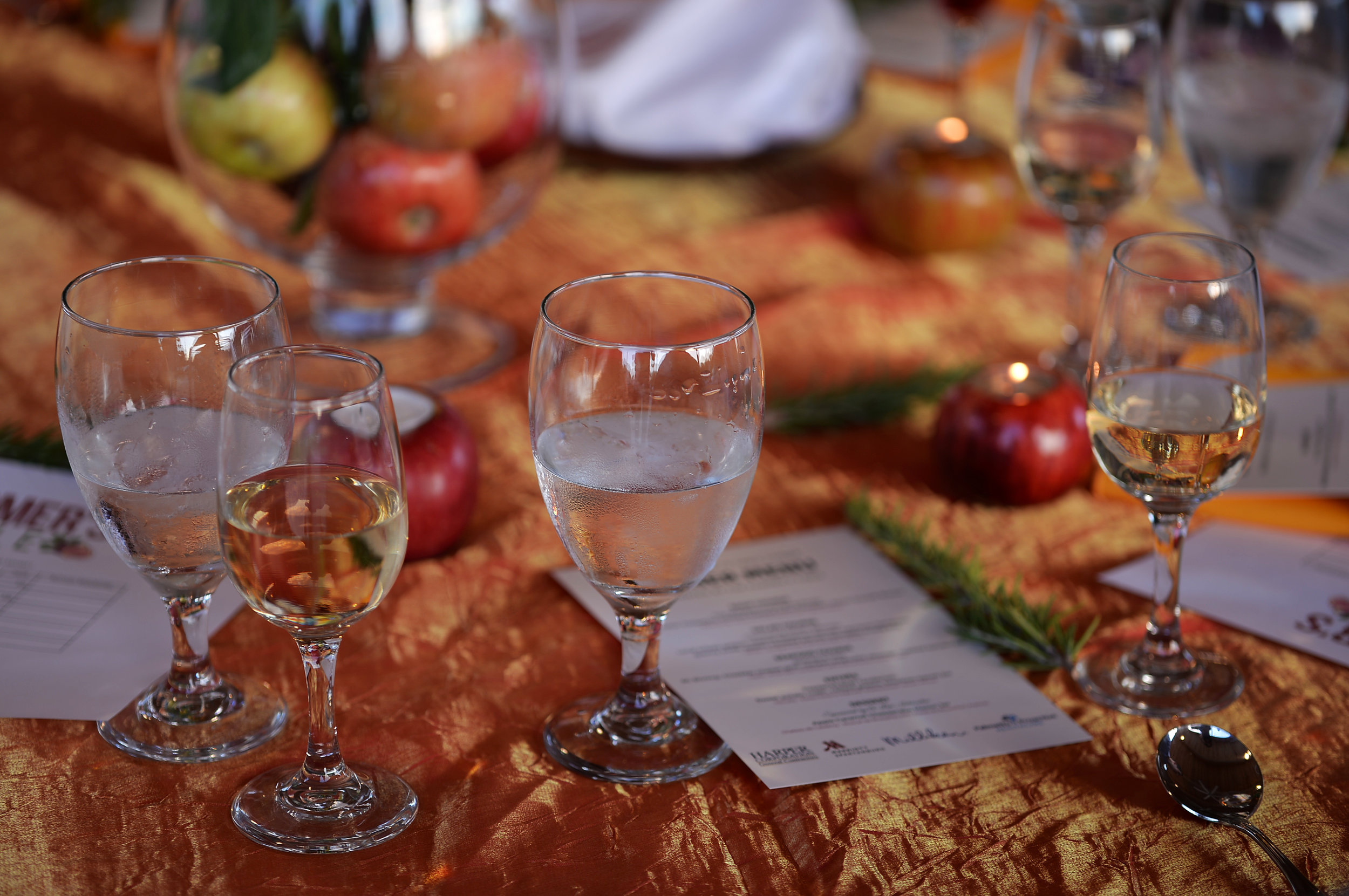 20181013_Scene_FarmToTableDinner_23.jpg