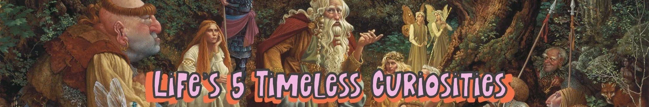 Timeless Curiosities Banner.jpg