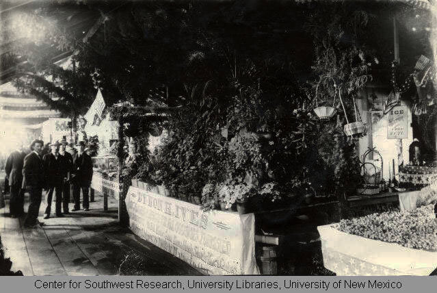 Byron Ives horticulture display at the NM territorial fair 1890's.jpg