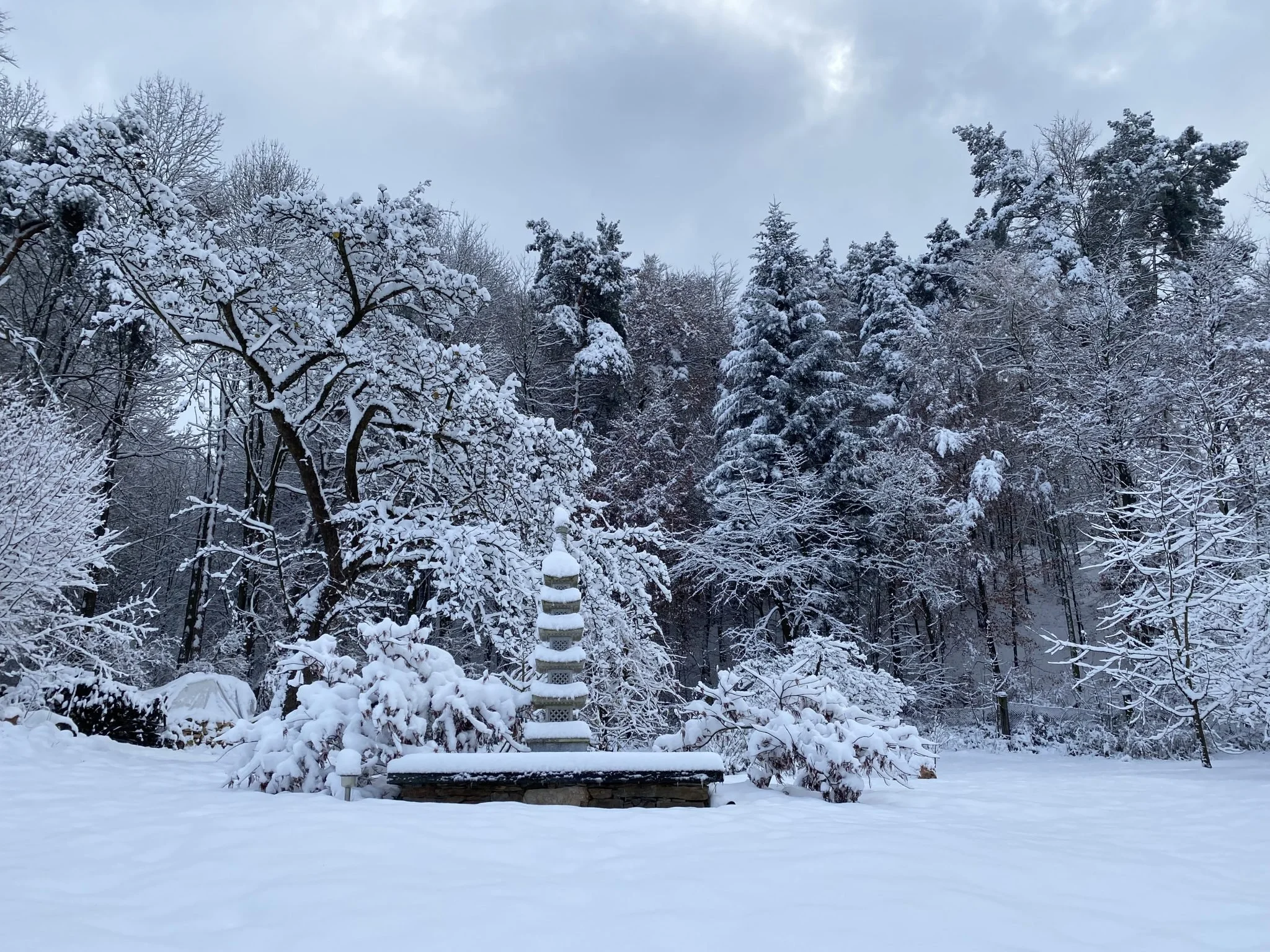 Zimní kjolče ve Vrážném