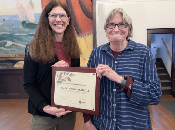 Budd presents to APIPP