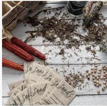 Bookswap and Seed Exchange