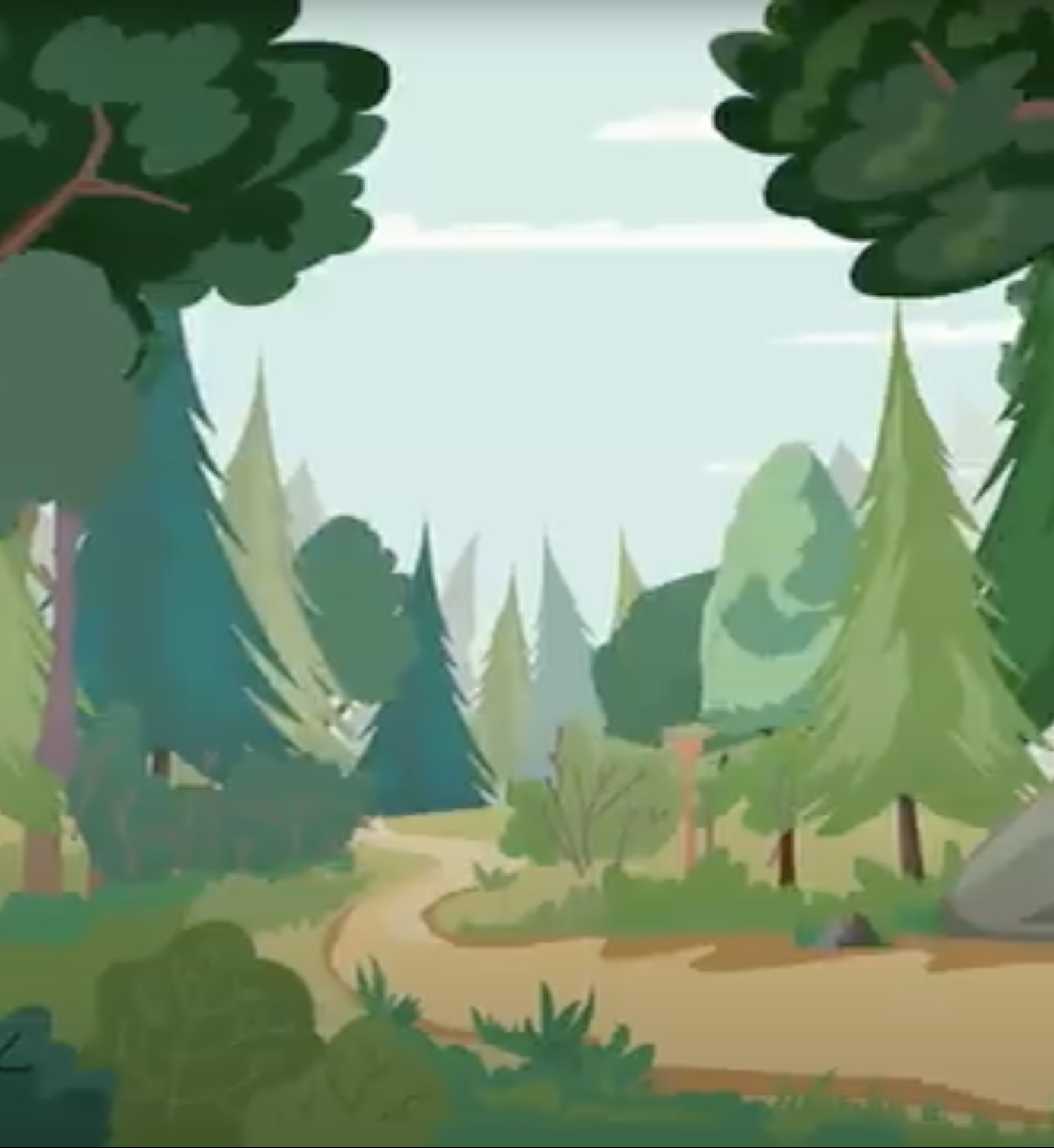 DEC Reforestation Program - Public Meeting