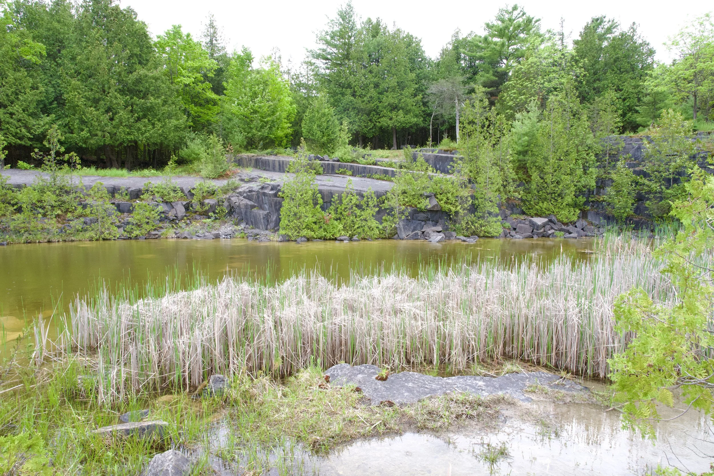Work Day at the Essex Quarry