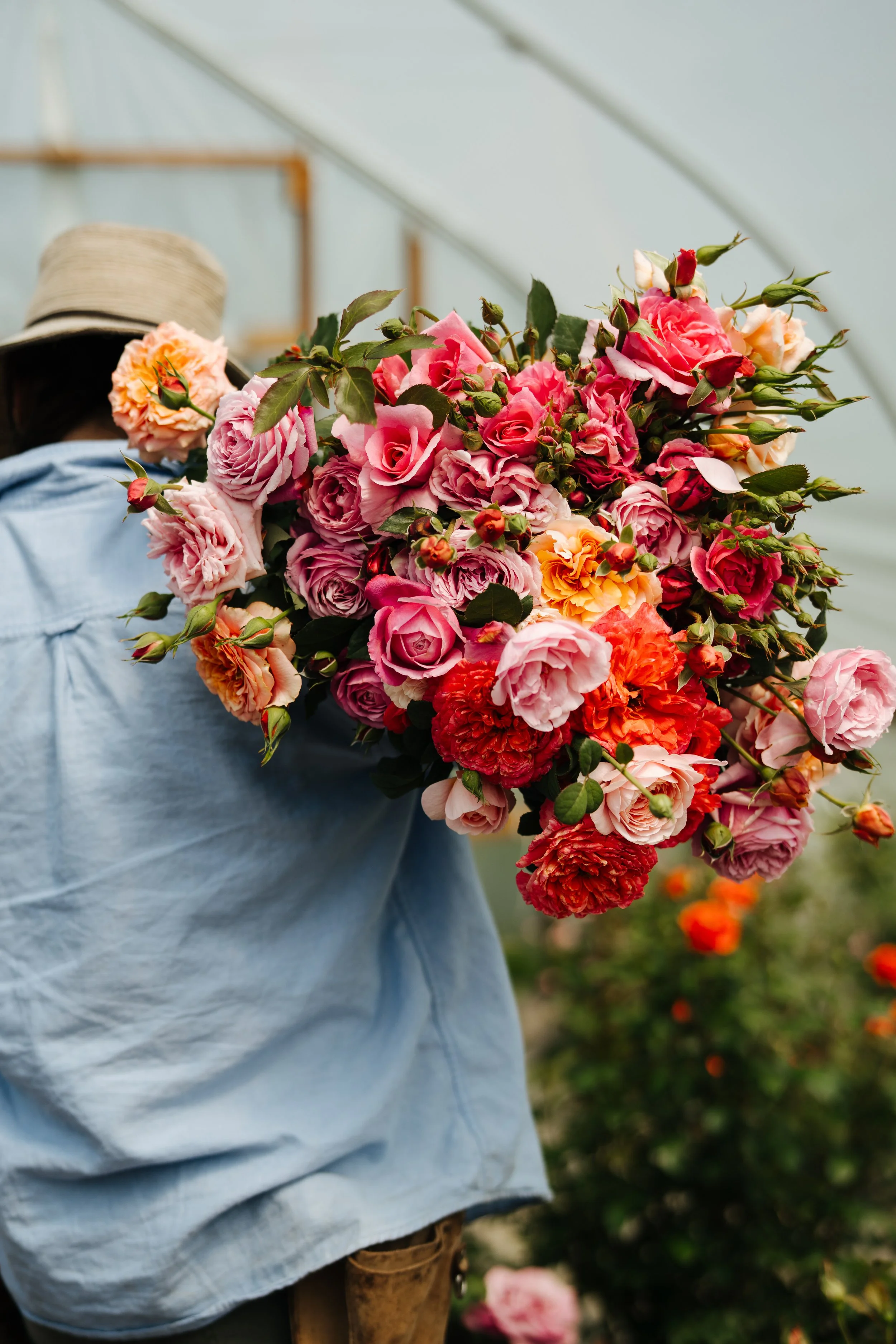 Visiting Gardens: Little Farmhouse Flowers Garden