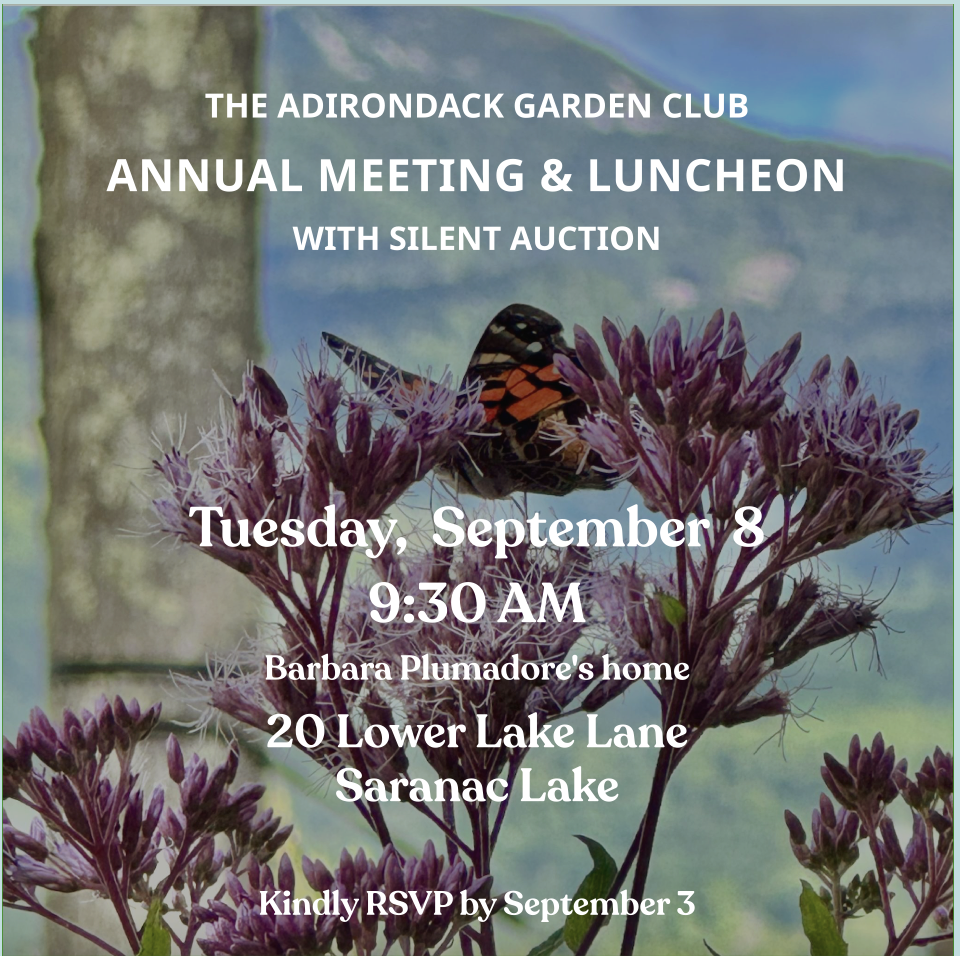 AGC Annual Meeting