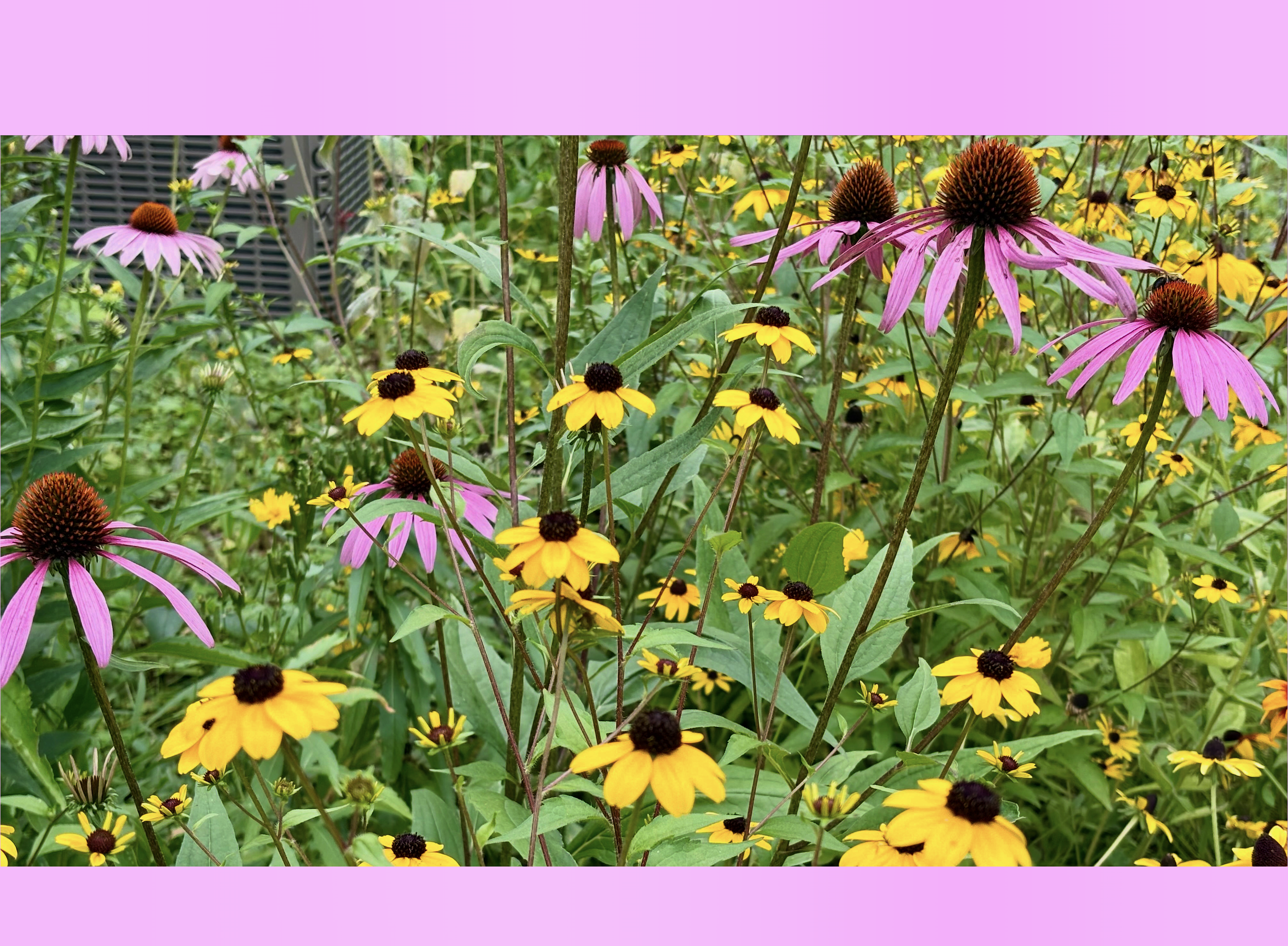 Banner 4.png