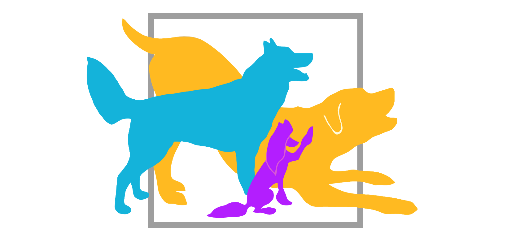 Wonder Dogs Online Classes: Getting Started