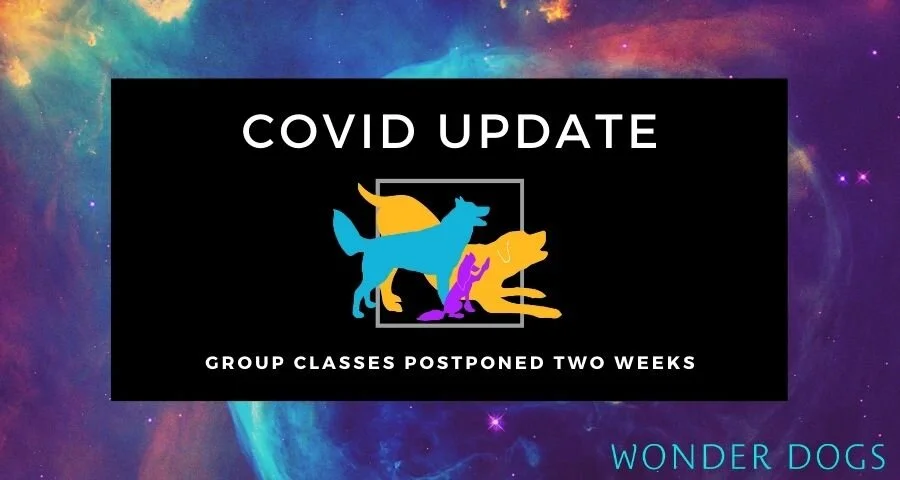 COVID Update #6 