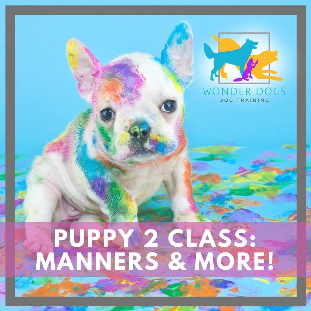 New Course Starts Wednesday at 4:30pm!

Register Here: https://wonderdogs.dogbizpro.com/Public/Registration/Index.aspx?cls=124