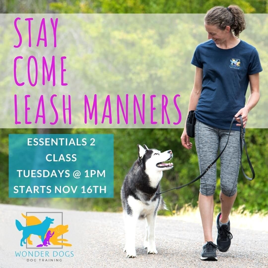 The last Essentials 2 class of the year!

REGISTER HERE: https://wonderdogs.dogbizpro.com/Public/Registration/Index.aspx?cls=56