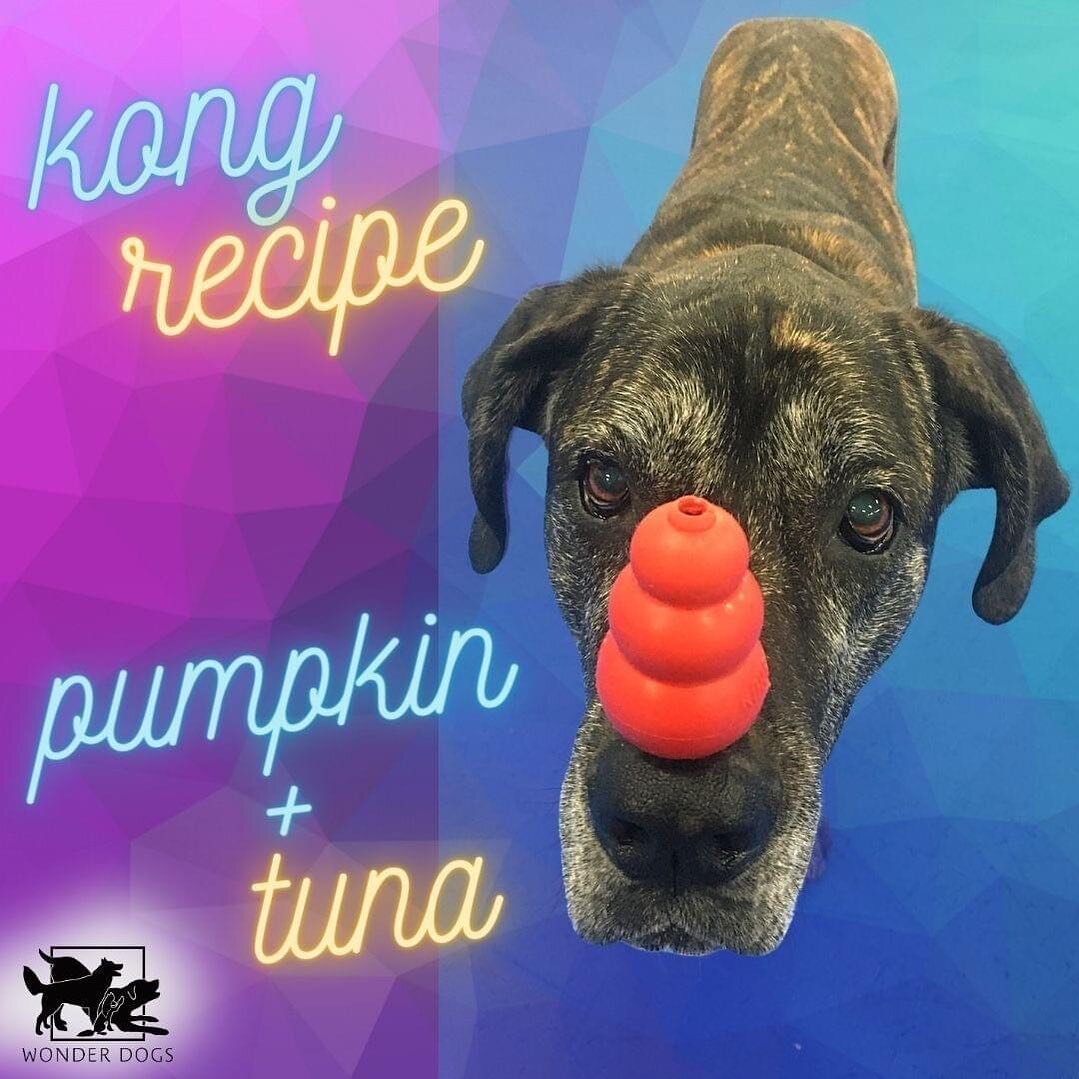This is your reminder, go fill those Kongs RIGHT NOW! You will be happy they will be ready for you later. Fill up FOUR of them! Terra&rsquo;s here with an easy and quick recipe for you. More interesting recipe = higher value = a better training tool!