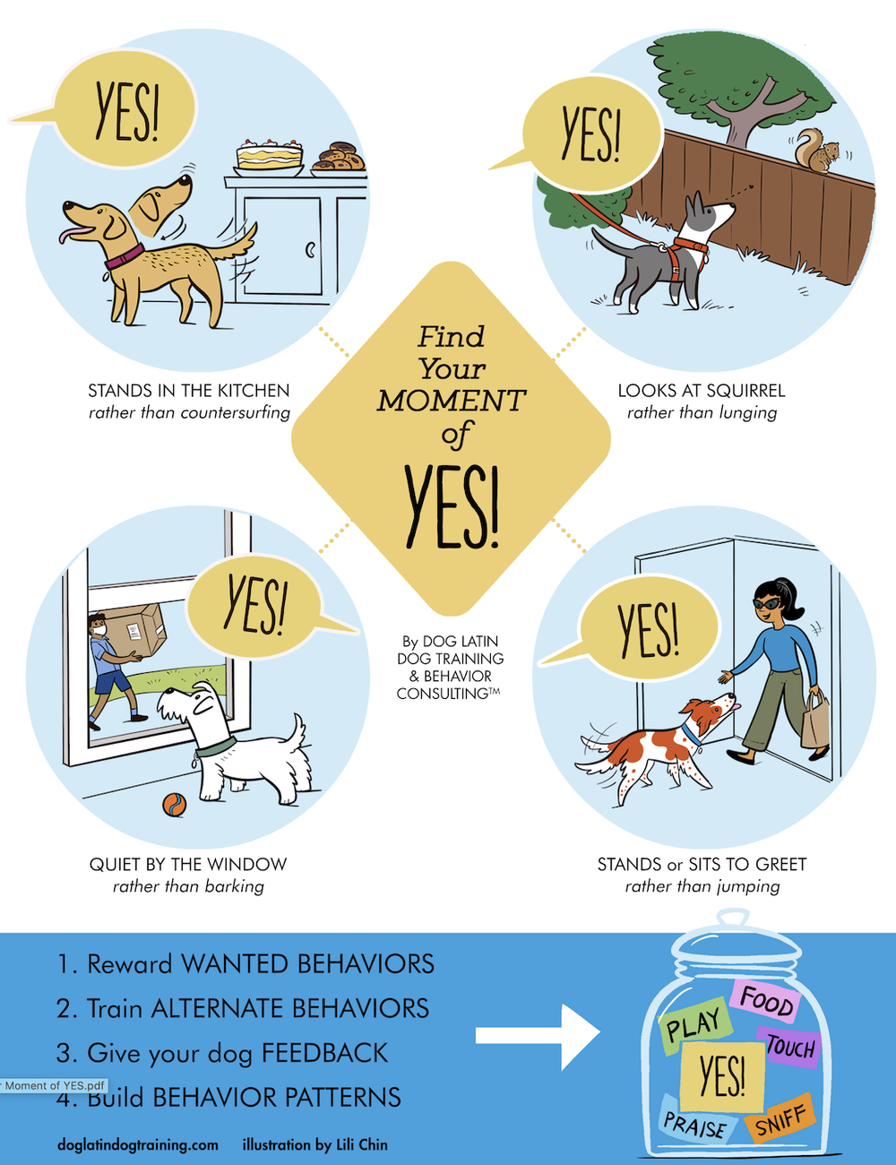 Tips on Housebreaking a Puppy: Proven Strategies for Fast Success
