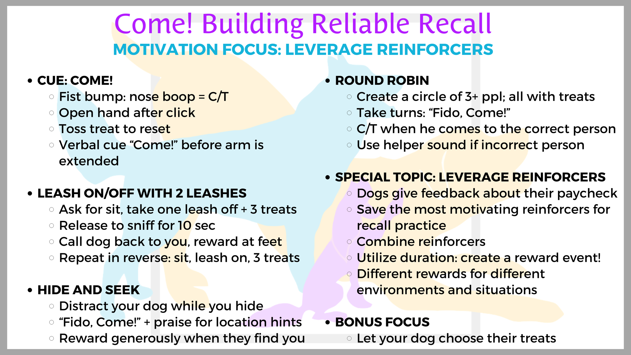 Motivation Focus: Leveraging Reinforcers
