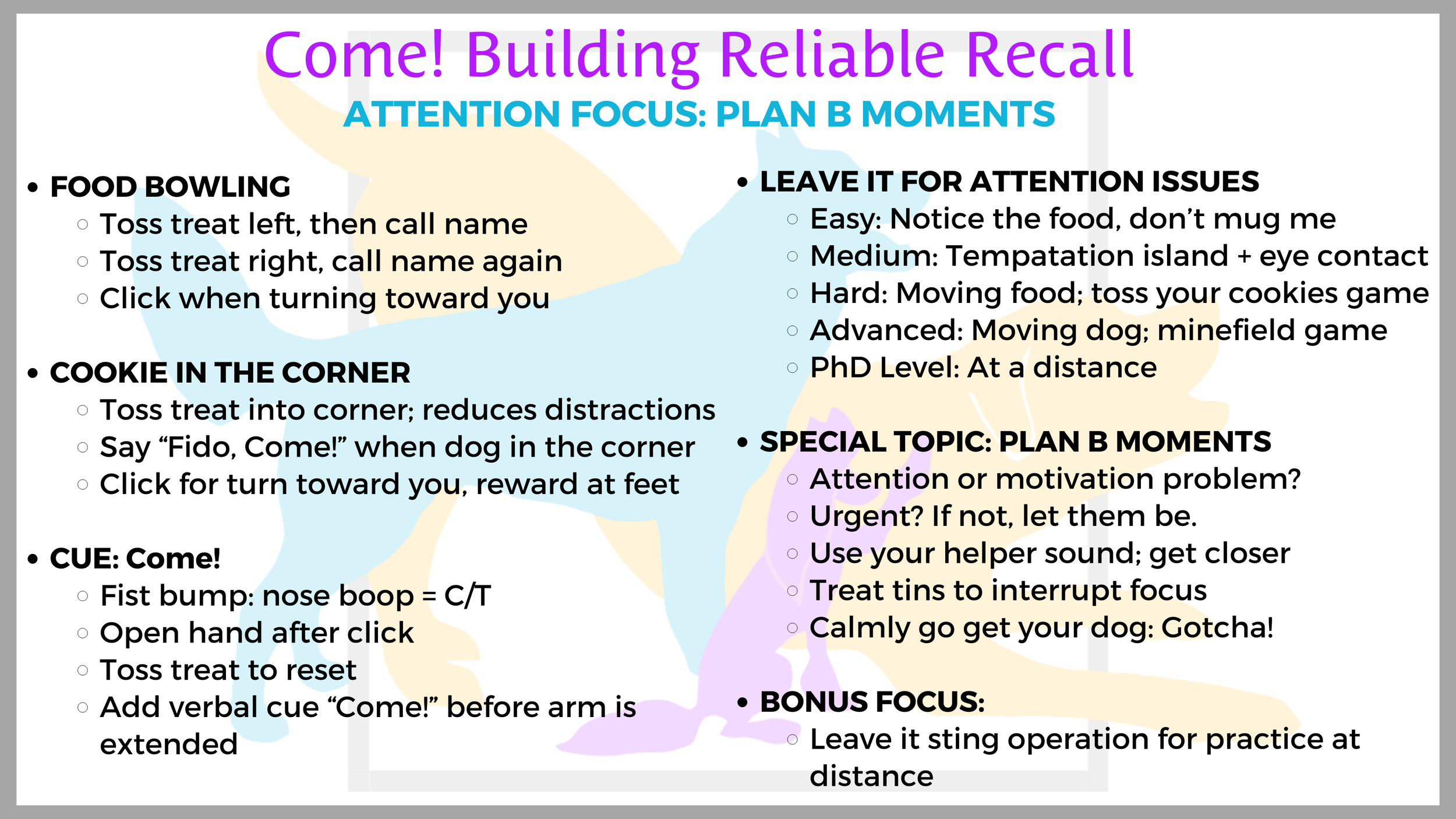 Attention Focus: Plan B Moments