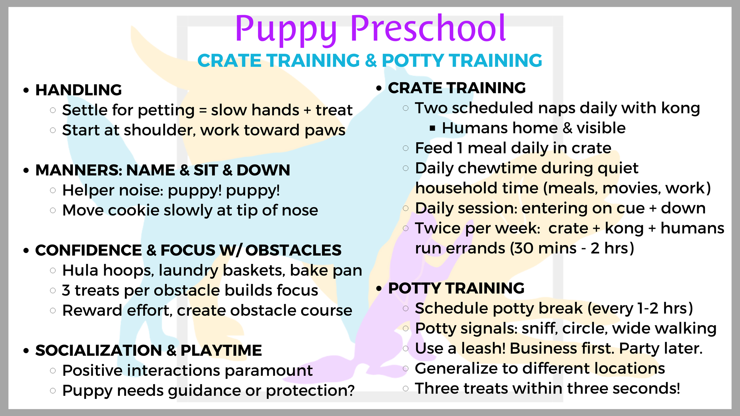 Crate Training & Potty Training