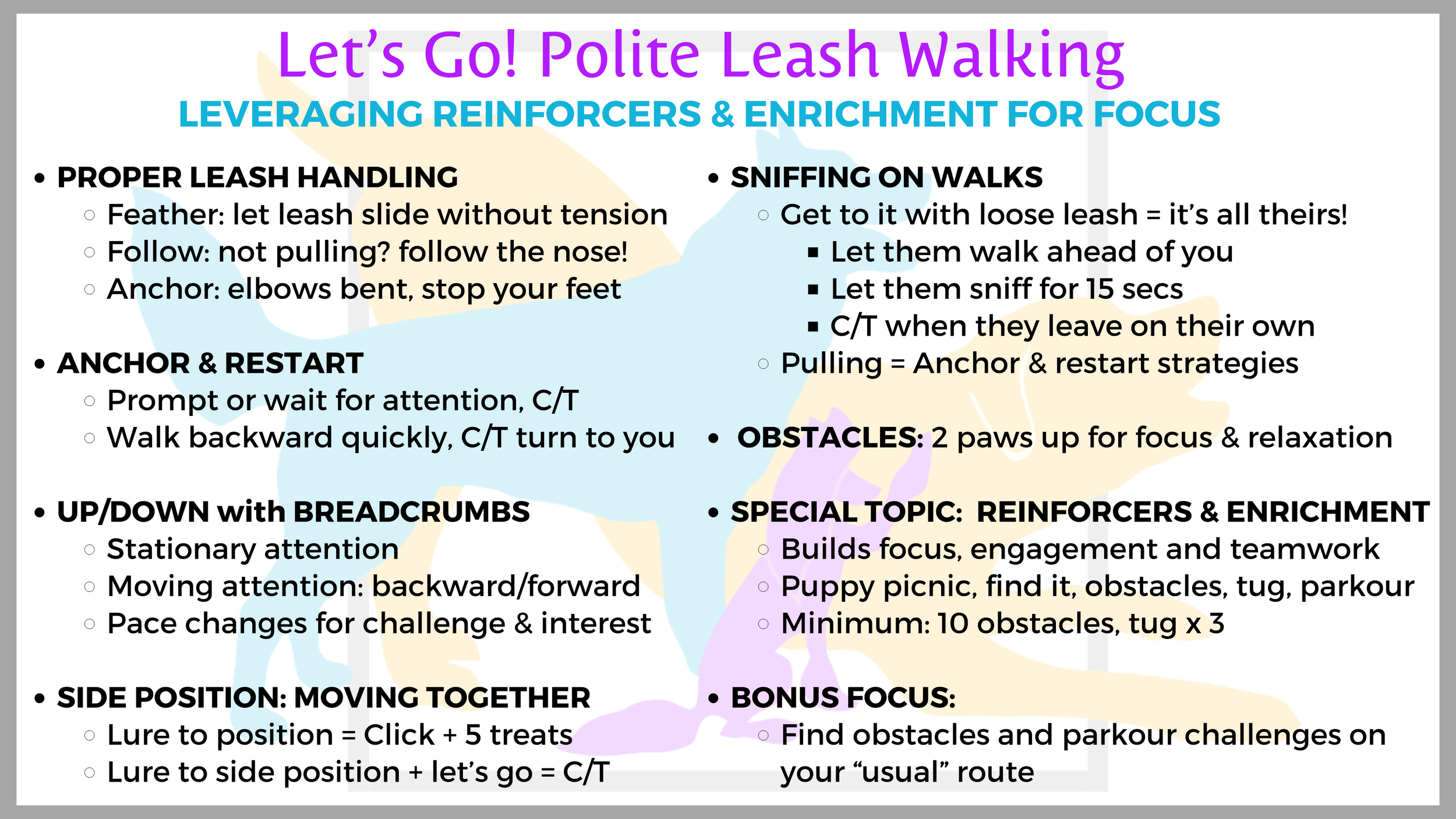 Leverage Reinforcers & Enrichment for Focus
