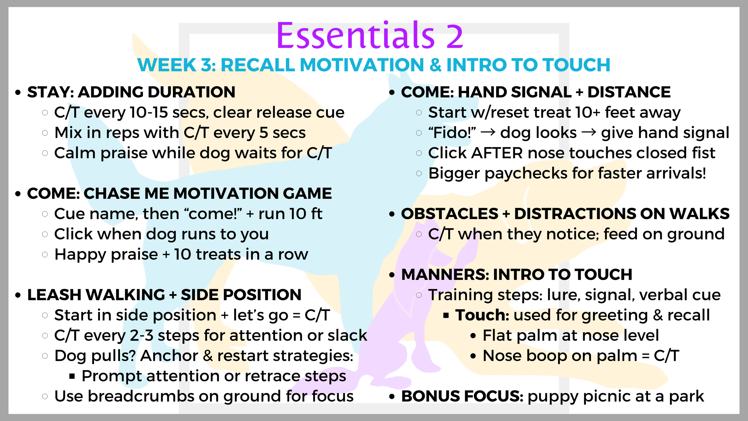 Recall Motivation & Intro to Touch