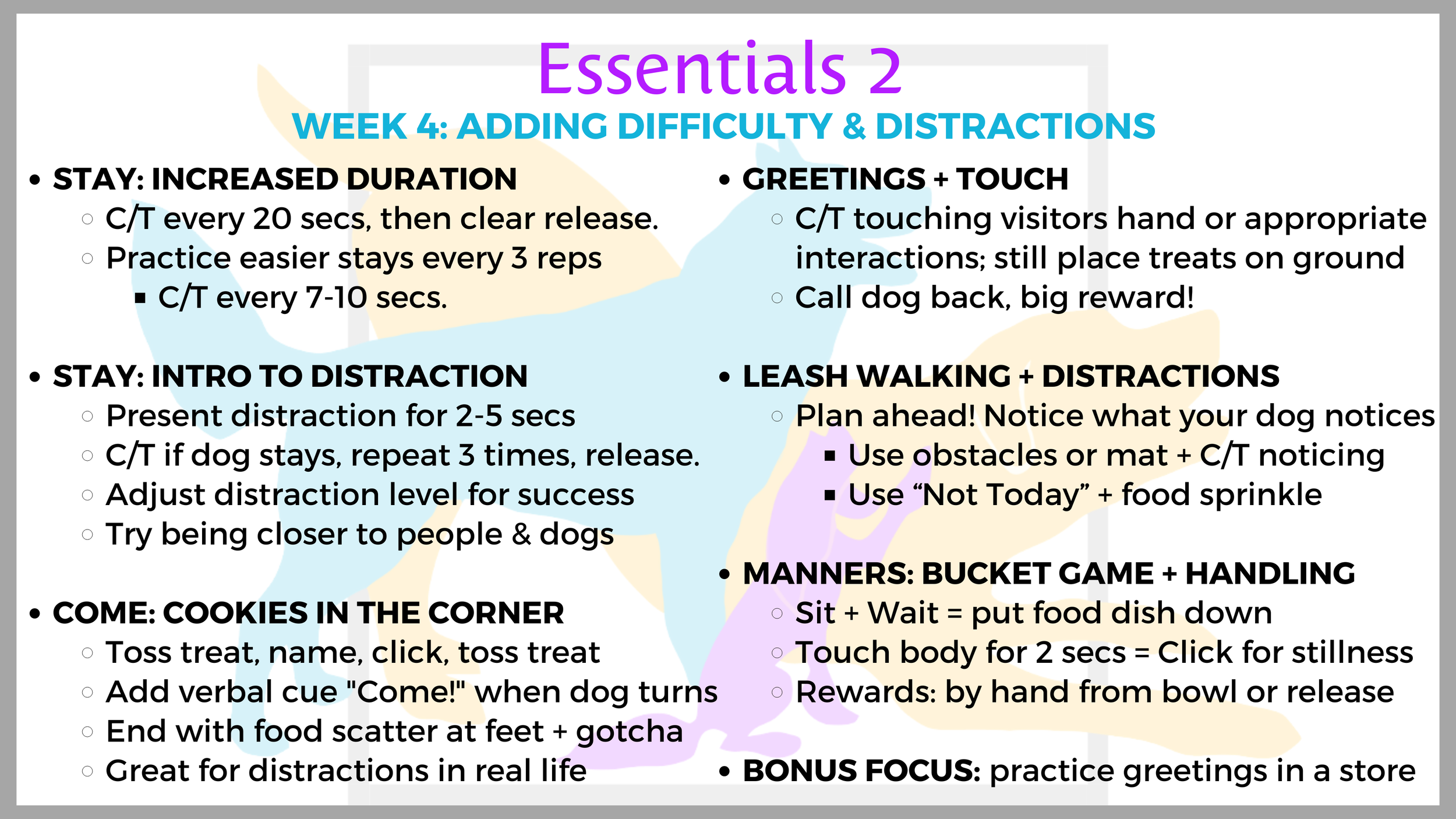 Adding Difficulty & Distractions
