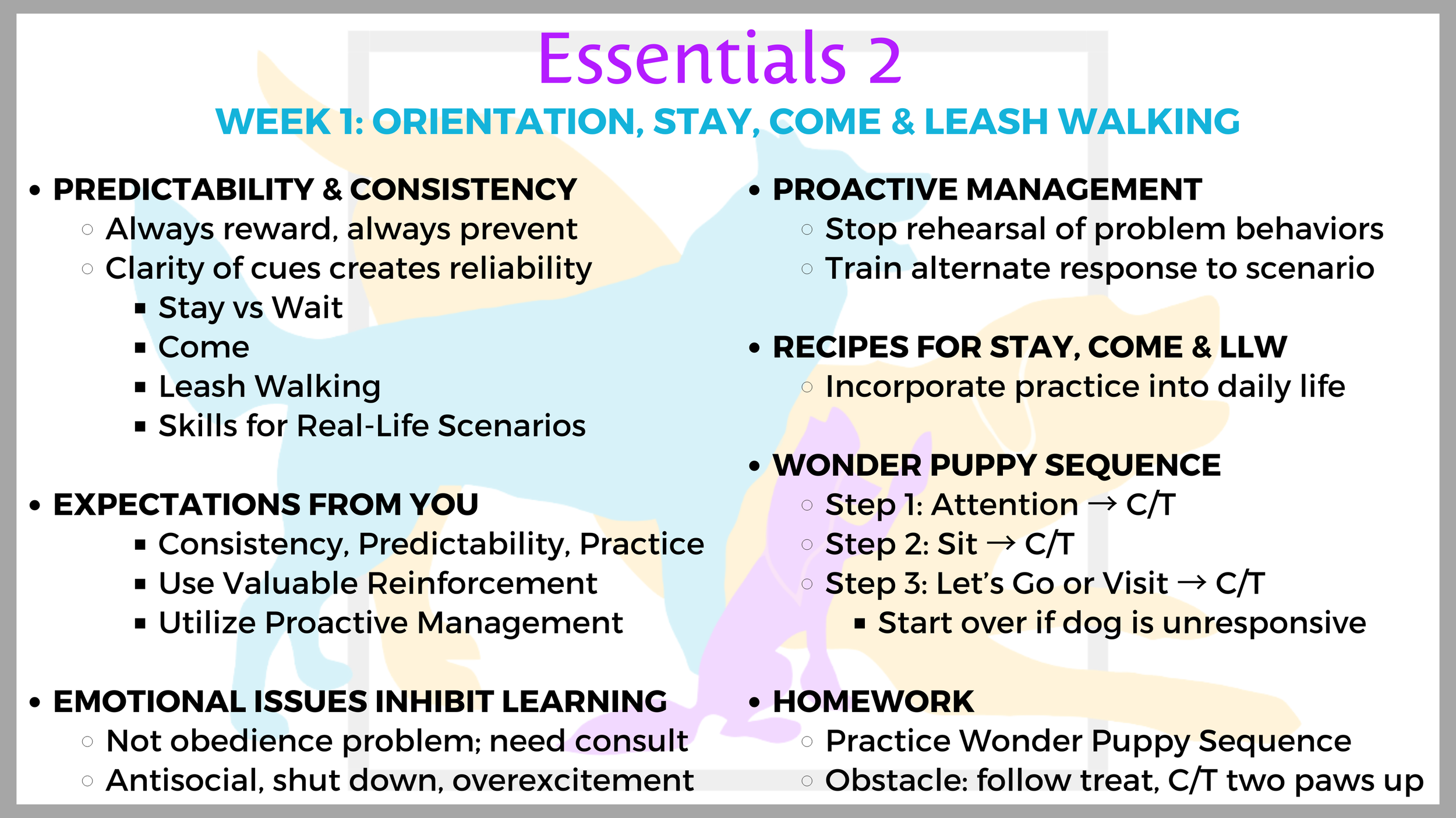 Orientation: Recipes for Stay, Come & Leash Walking