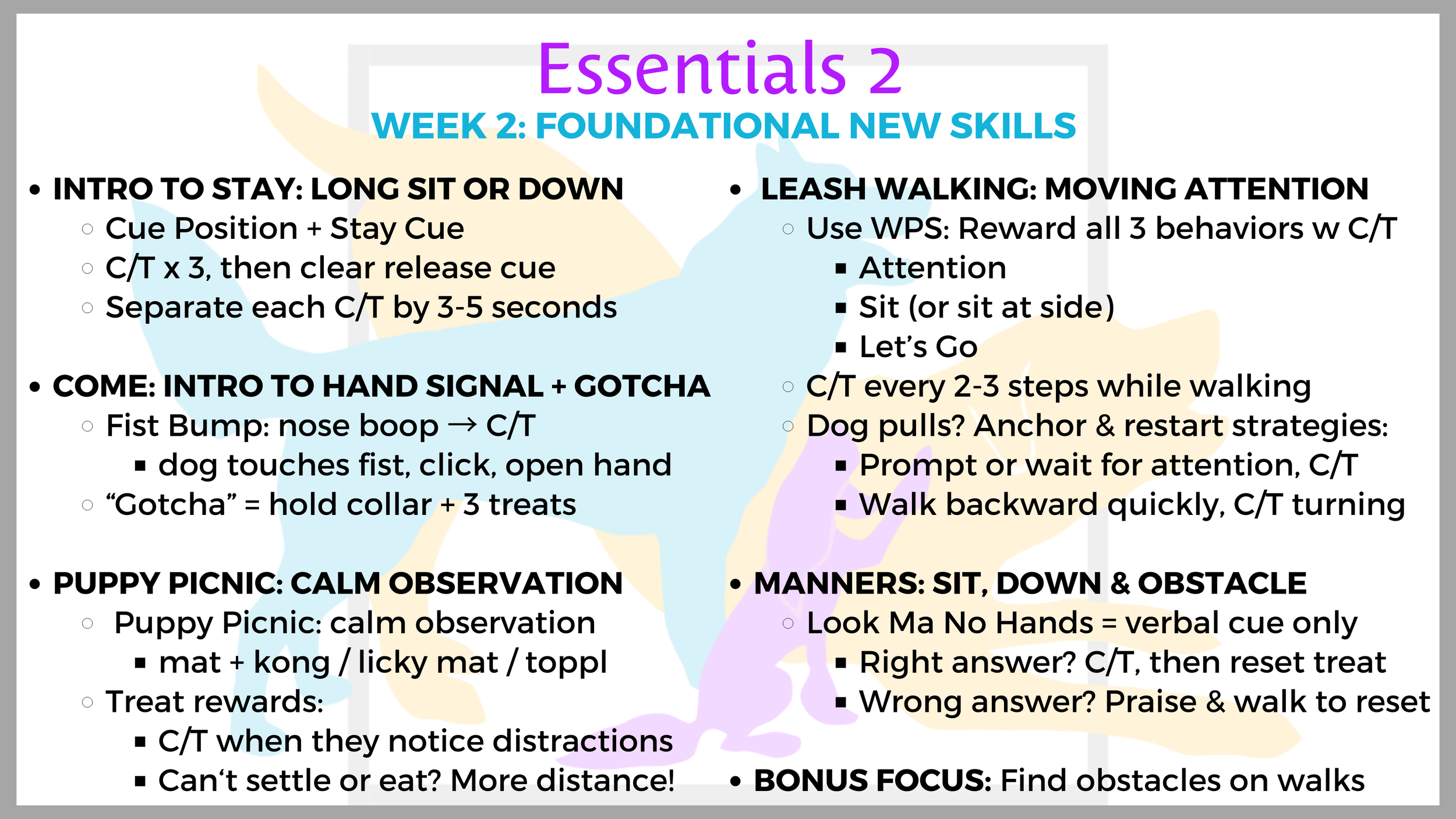 Foundational New Skills