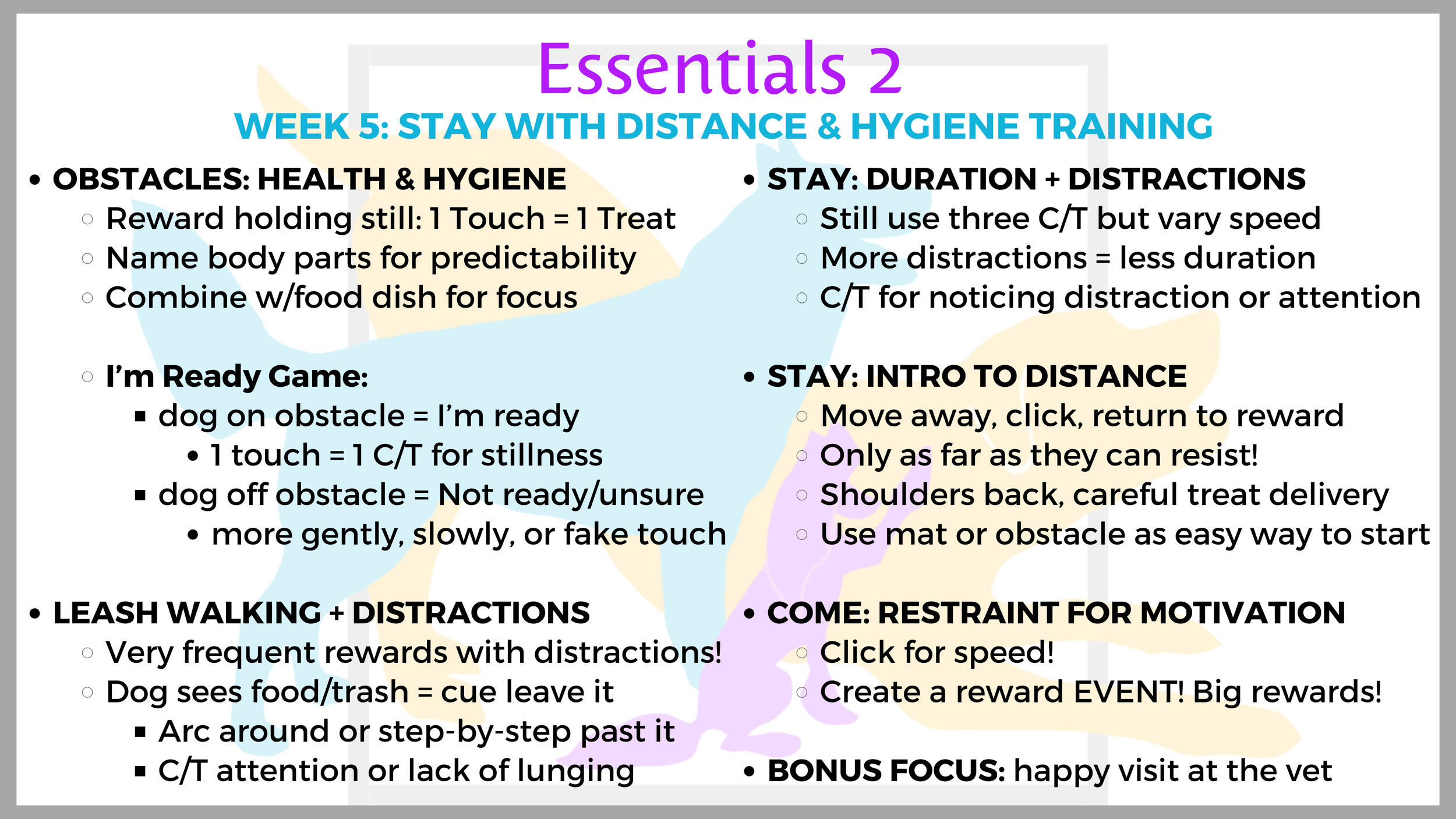 Stay with Distance & Hygiene Training 