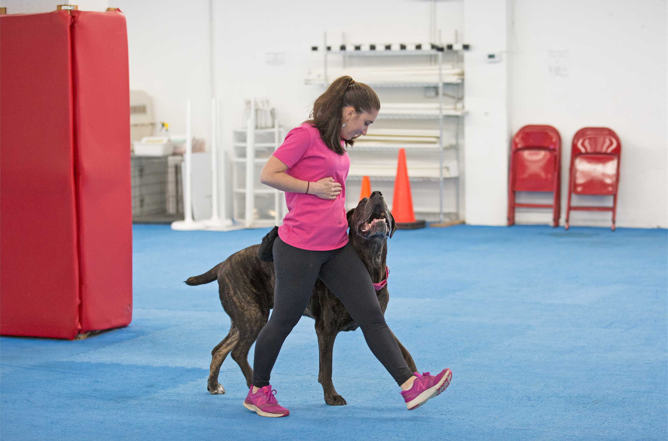 Screen Shot 2017-05-20 at 3.26.45 AM.png