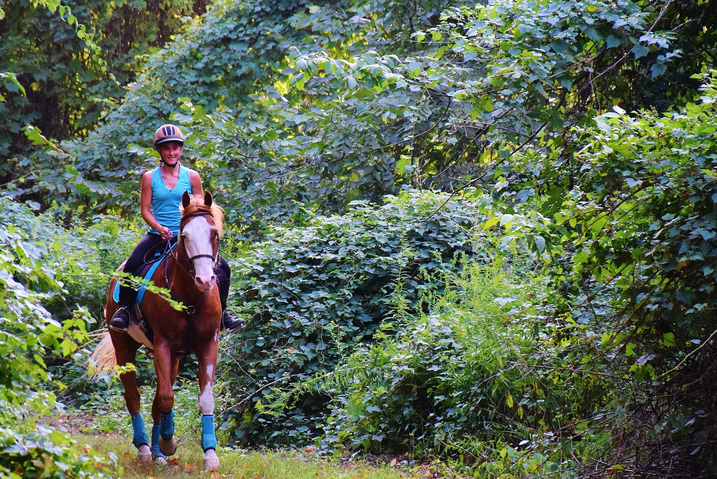 Into The Woods We Go!.JPG