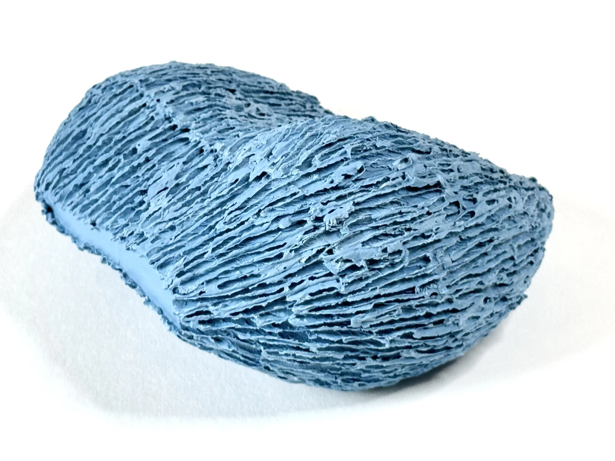 Paper porcelain sculpture with Porcelain de Limoges, colored with blue stains.