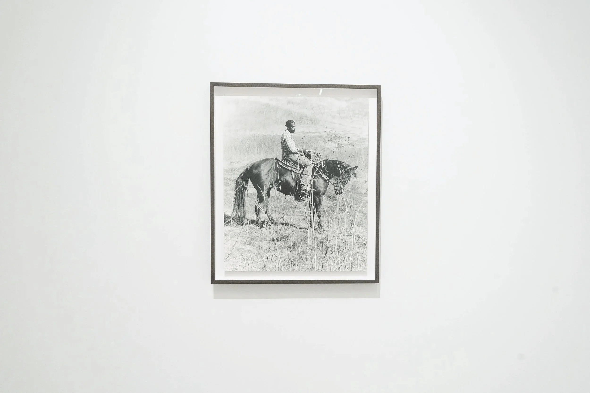 Mane 'n Tail; Casemore Gallery 2024