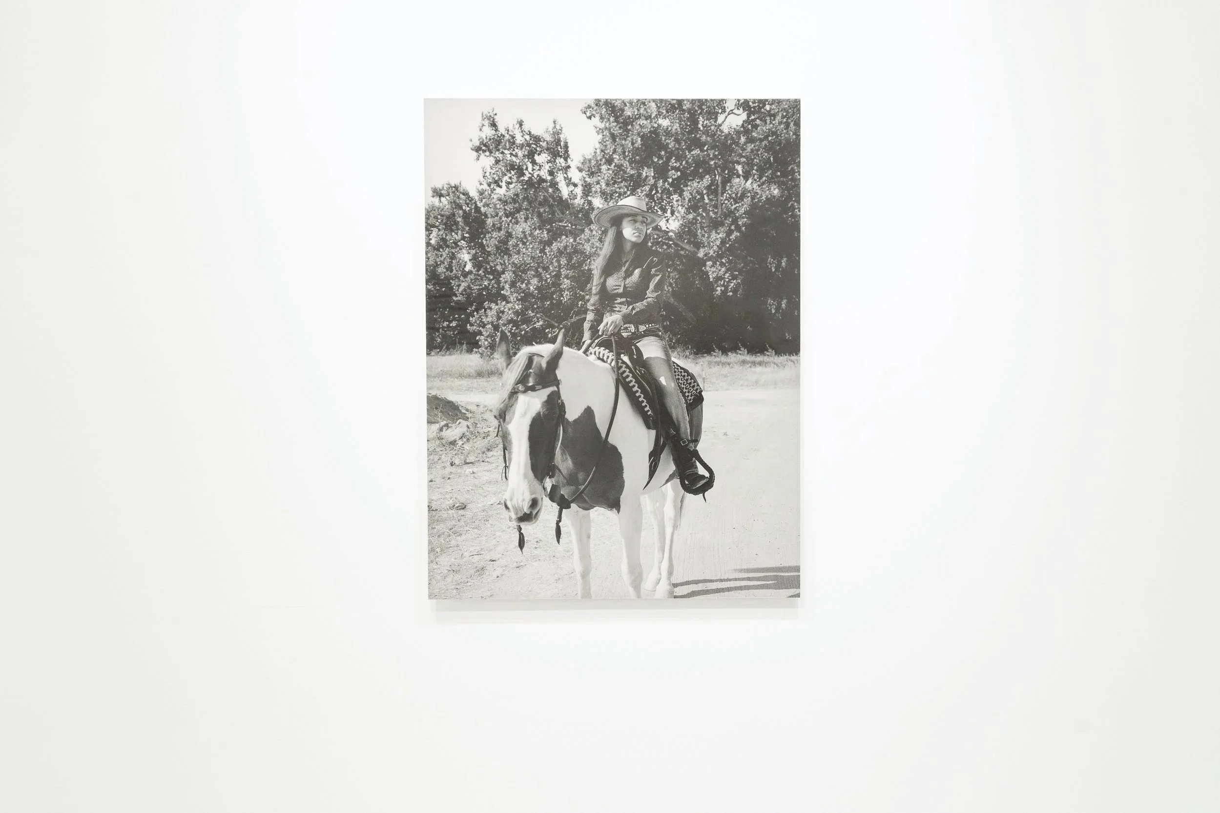 Mane 'n Tail; Casemore Gallery 2024