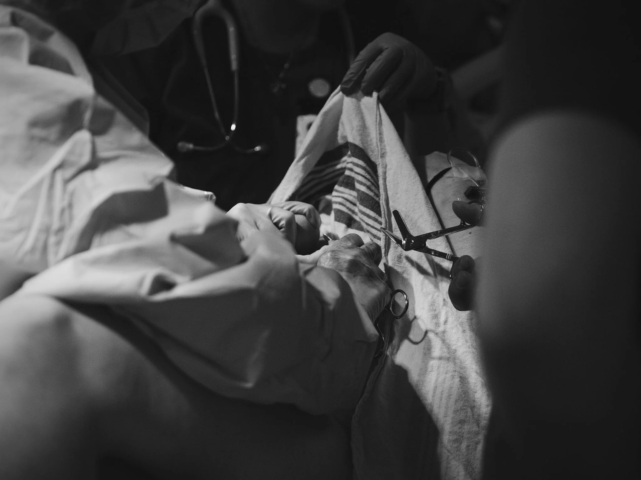 P4268483.jpg