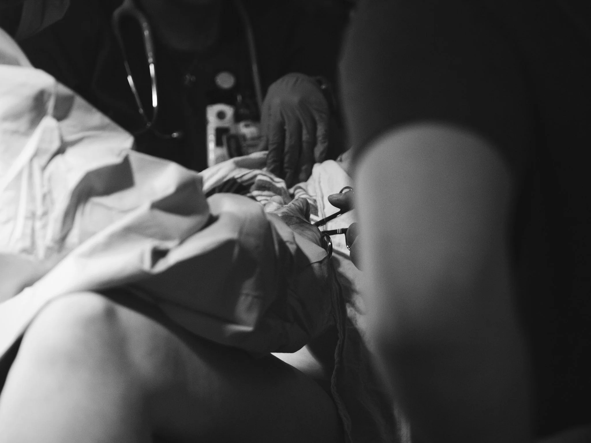 P4268484.jpg
