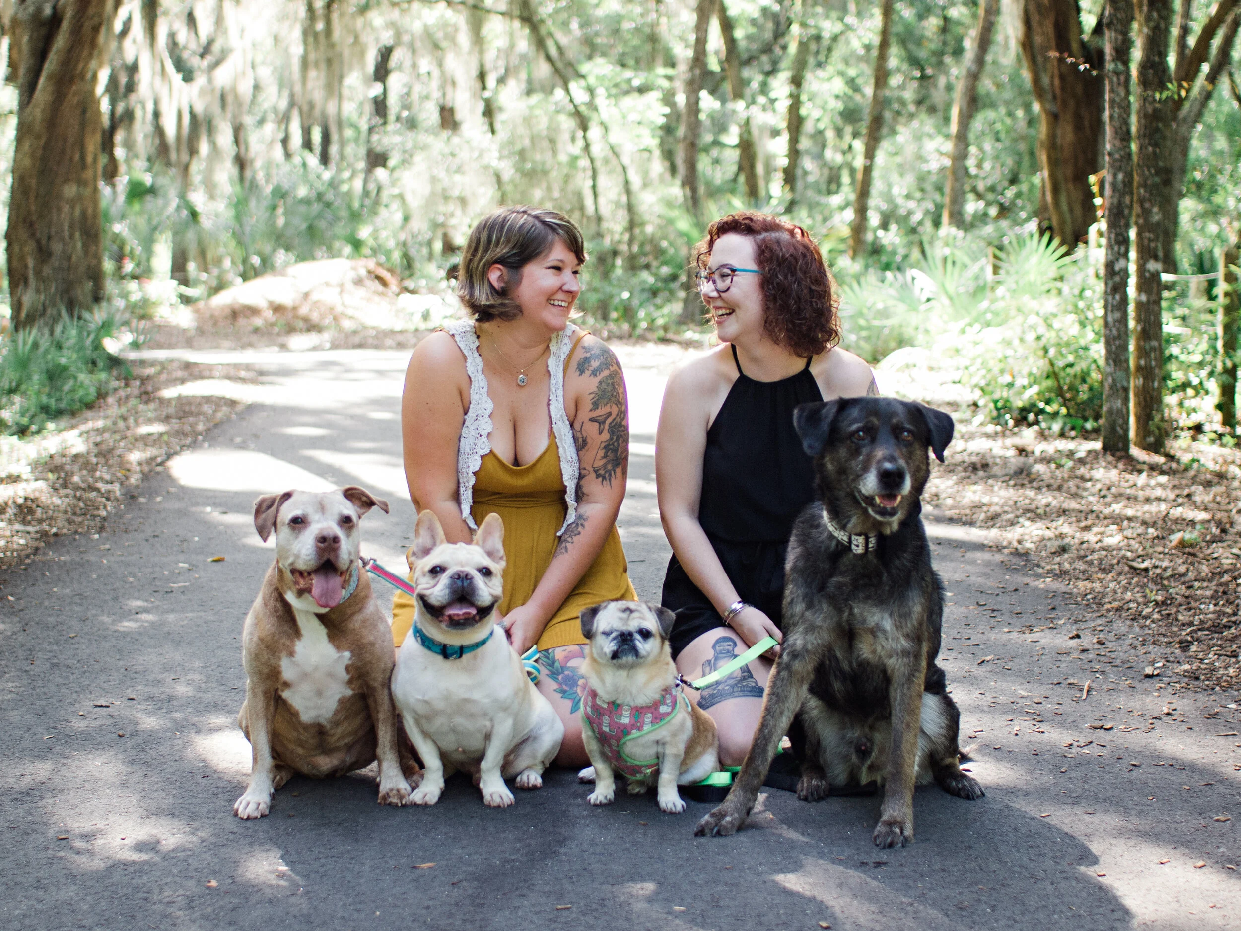 Swamp Haven Rescue