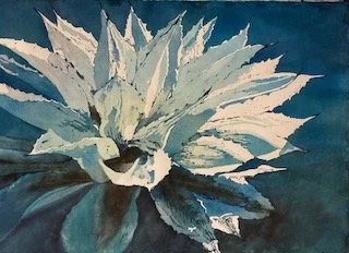 Agave Magic.jpg