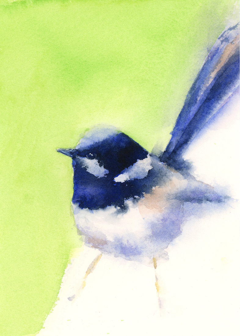 Amelia Audish Fairy Wren png.png